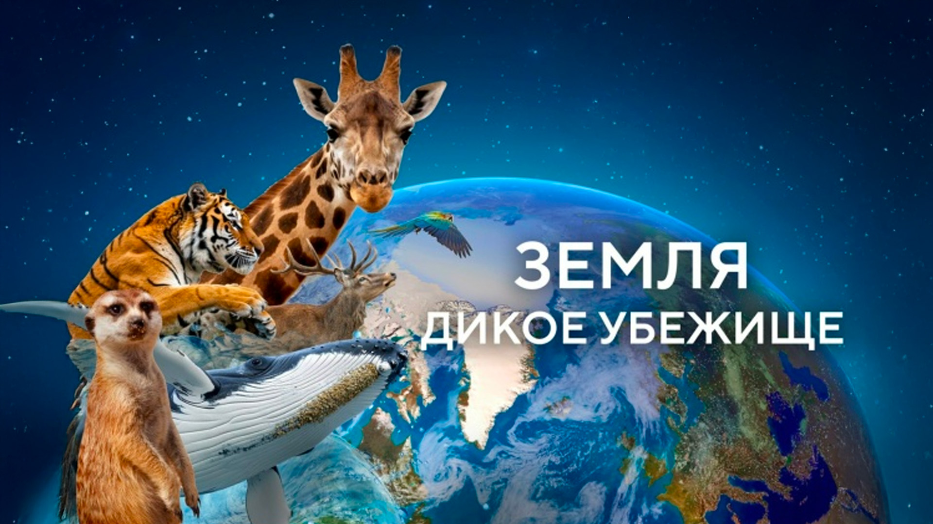 Земля. Дикое убежище