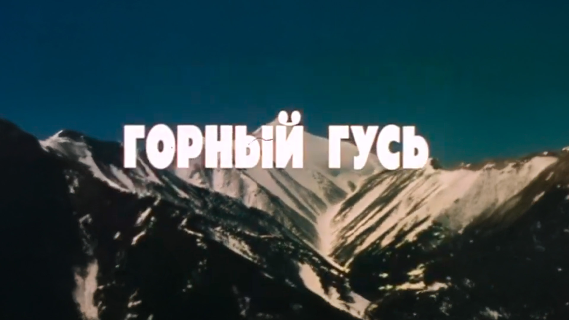 Горный гусь