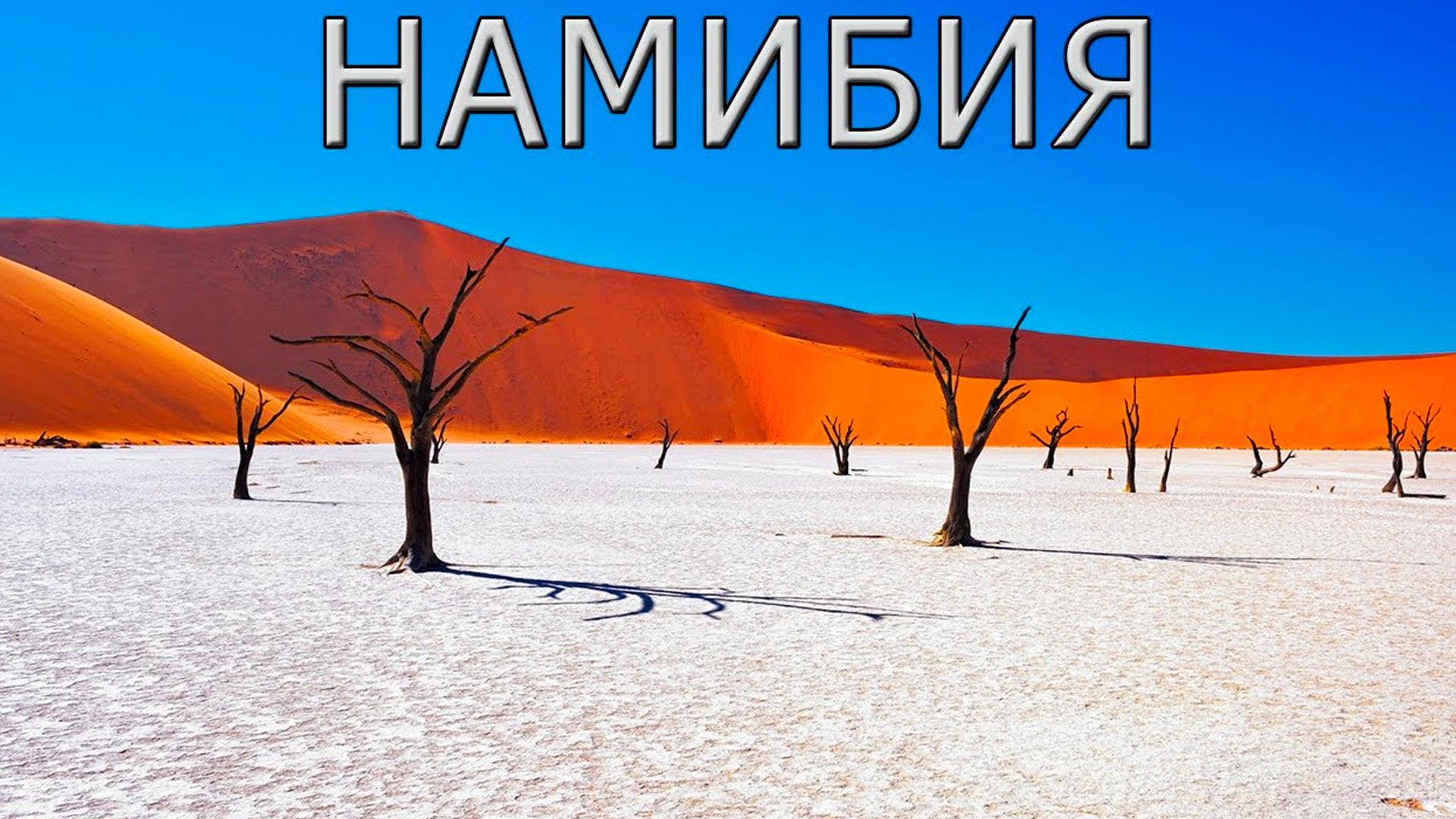 Жизнь в песках. Дикая природа Намибии