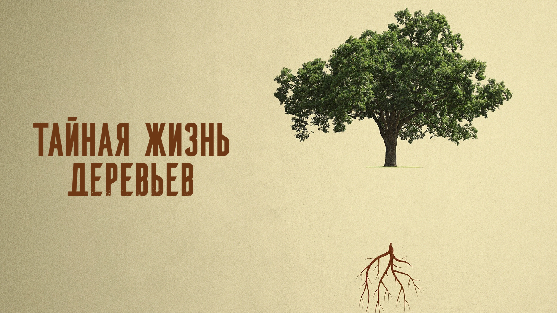 Тайная жизнь деревьев