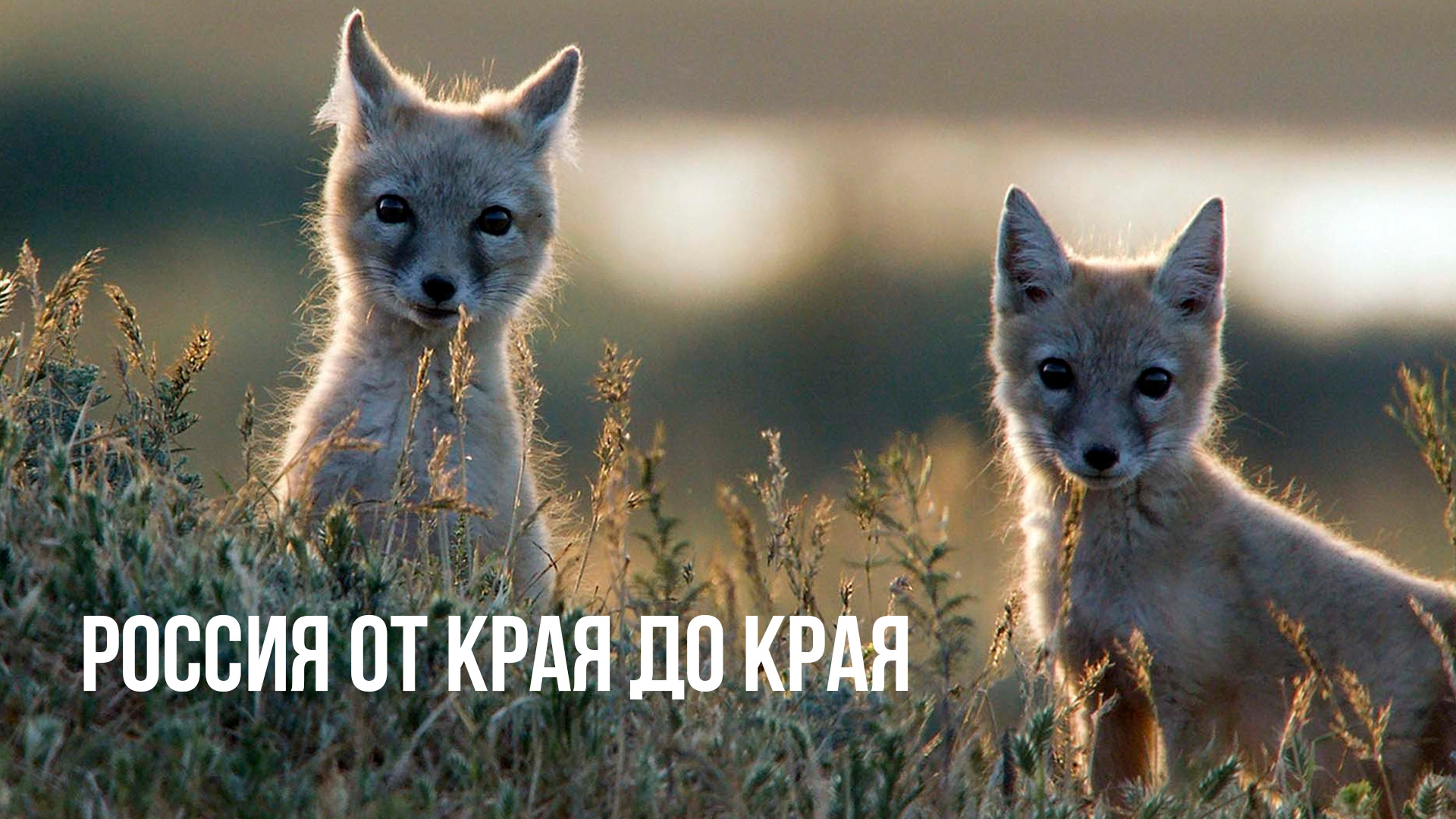 Россия от края до края