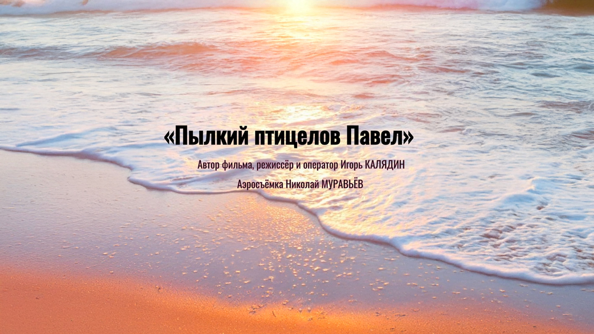 Пылкий птицелов Павел