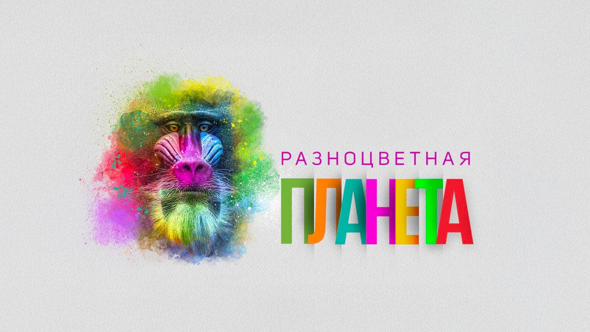 Разноцветная планета