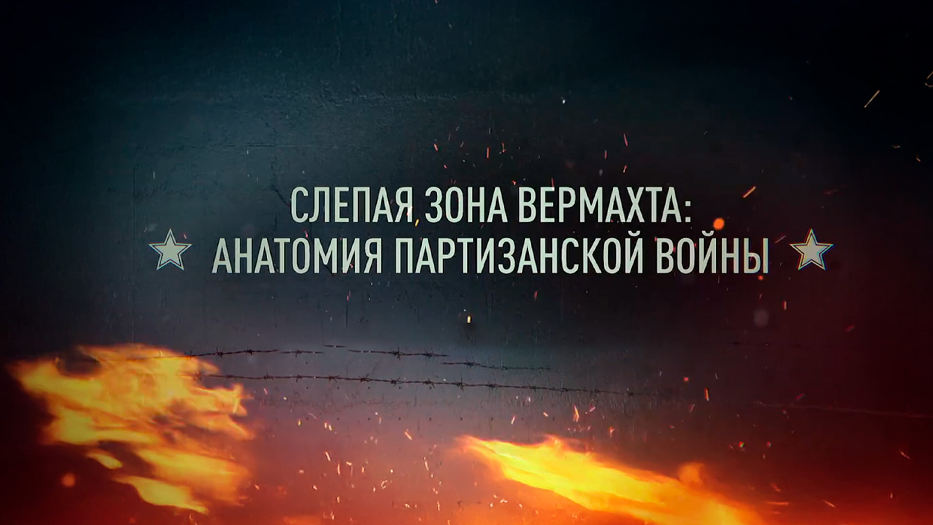 Слепая зона Вермахта: Анатомия партизанской войны