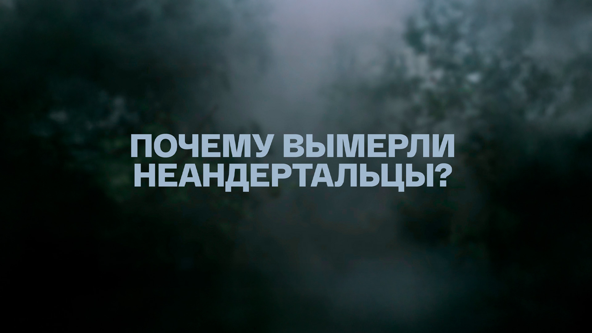 Почему вымерли неандертальцы?