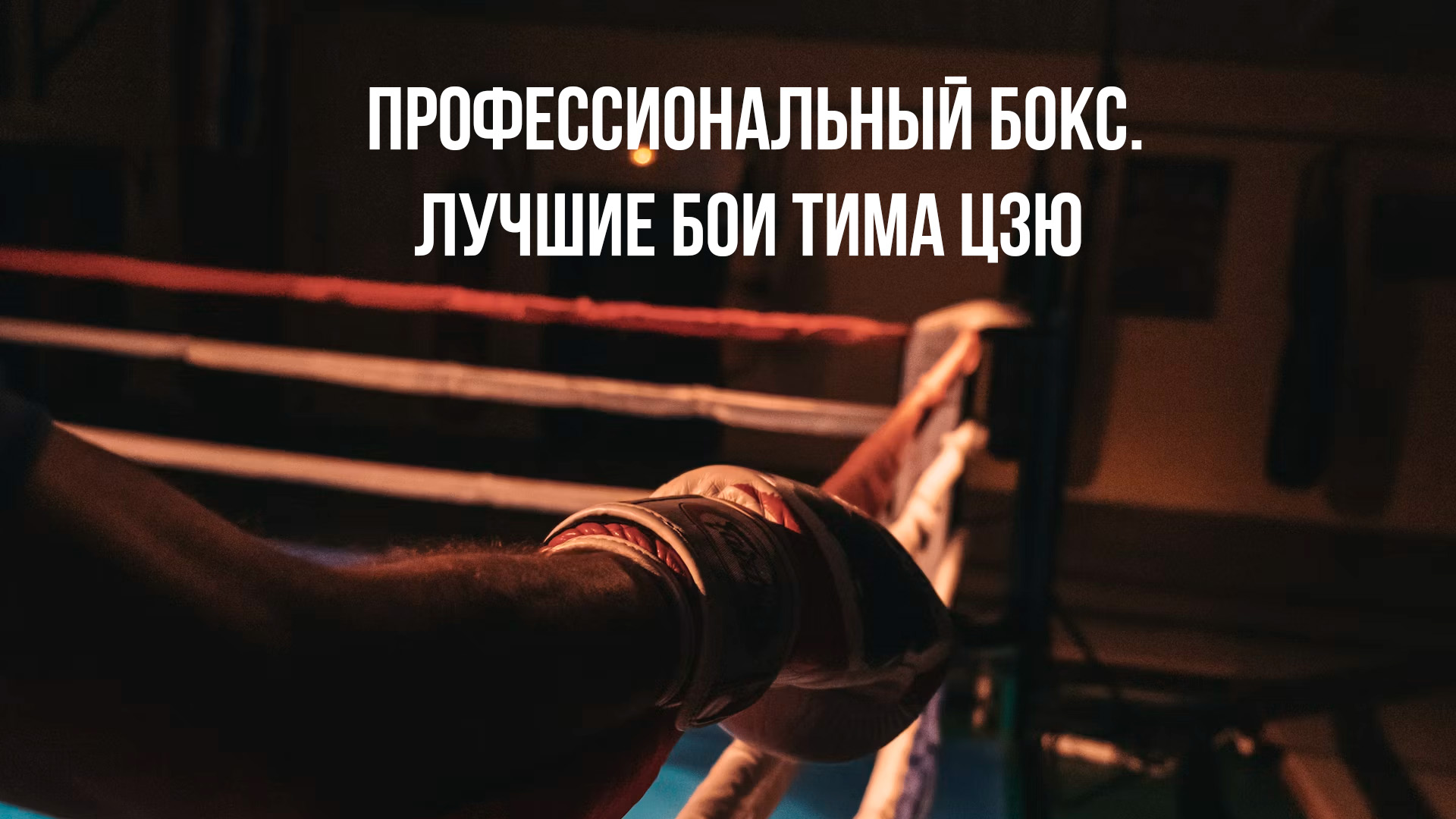 Профессиональный бокс. Лучшие бои Тима Цзю