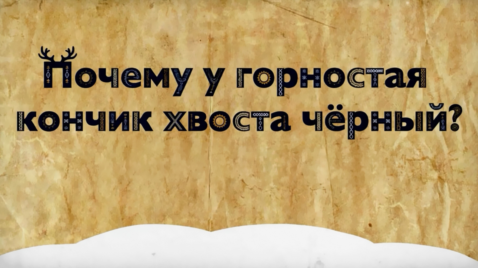 Почему у горностая кончик хвоста чёрный