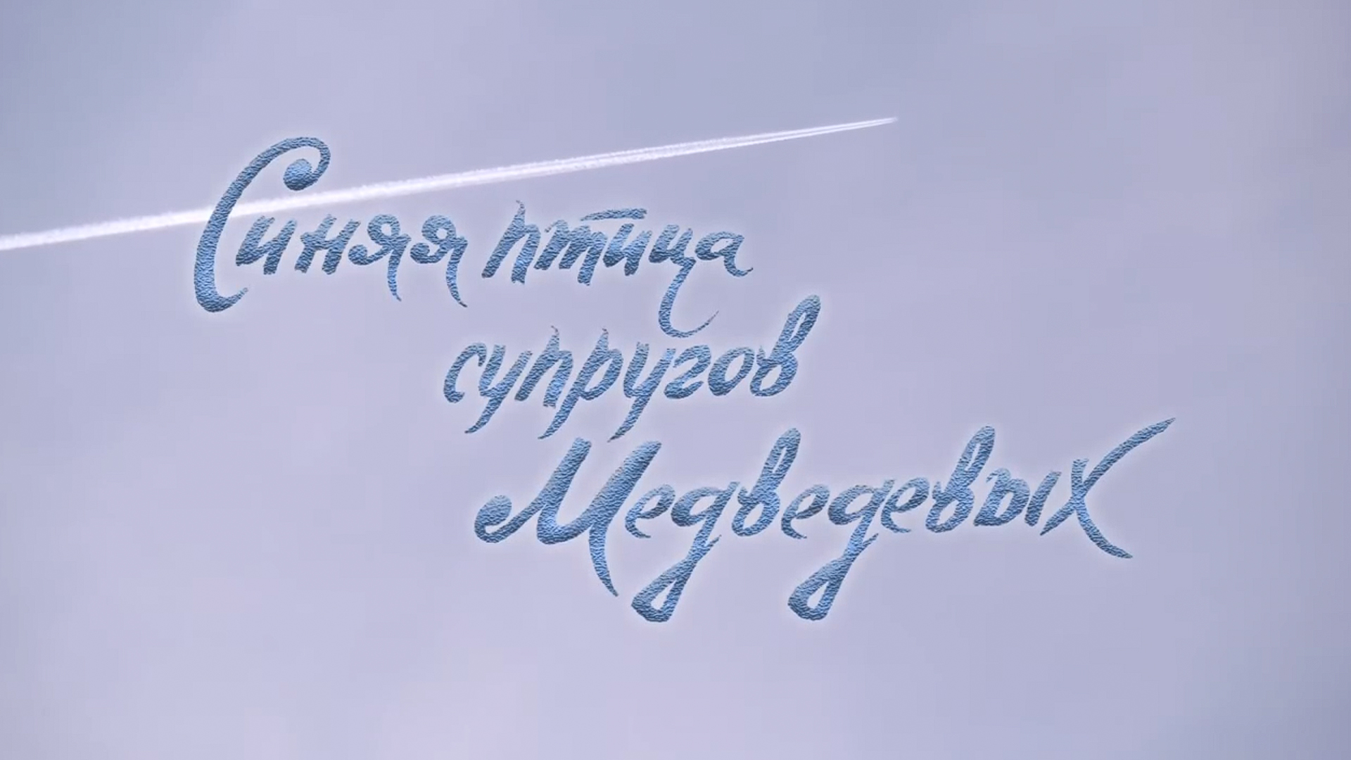 Синяя птица супругов Медведевых