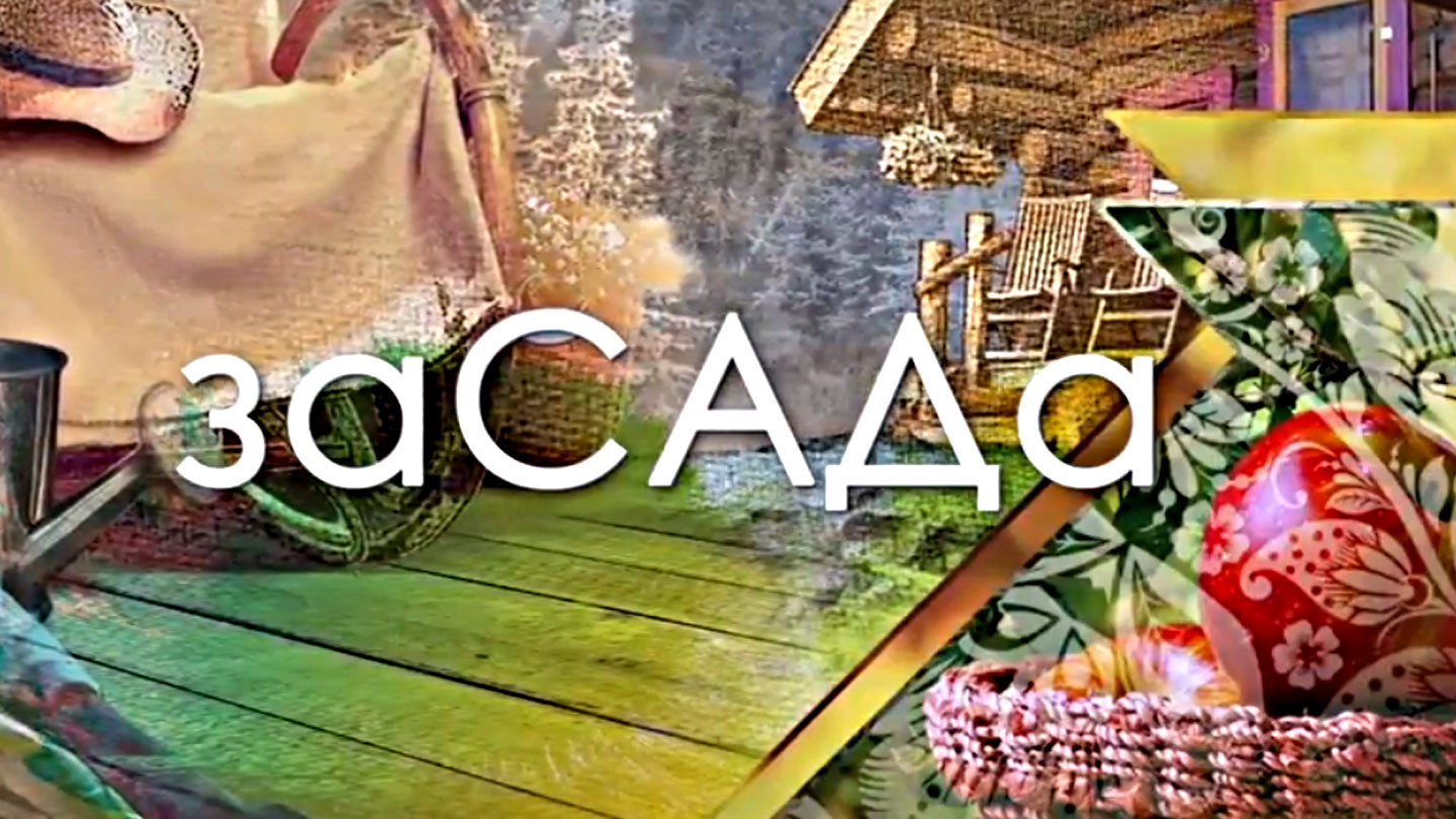 заСАДа