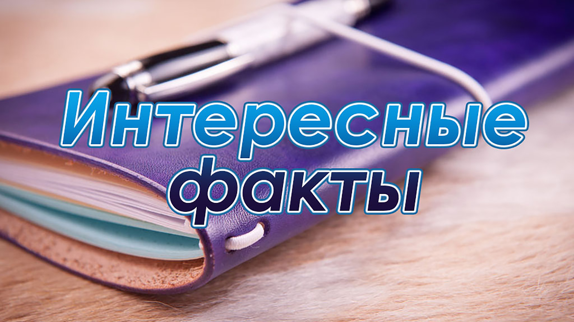 Интересные факты