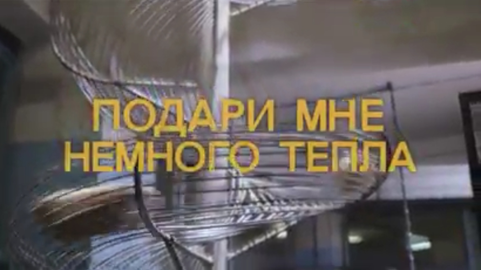 Подари мне немного тепла