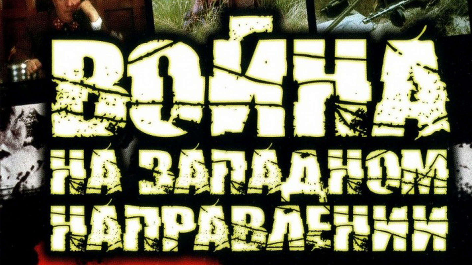 Война на западном направлении