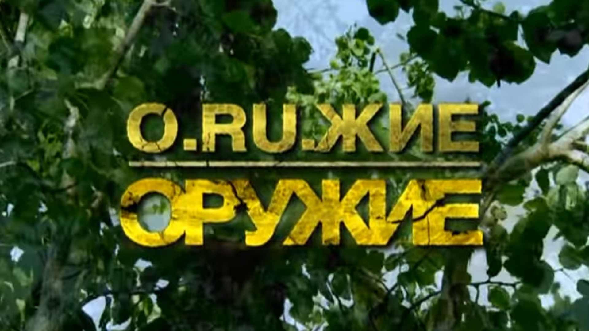 Оружие