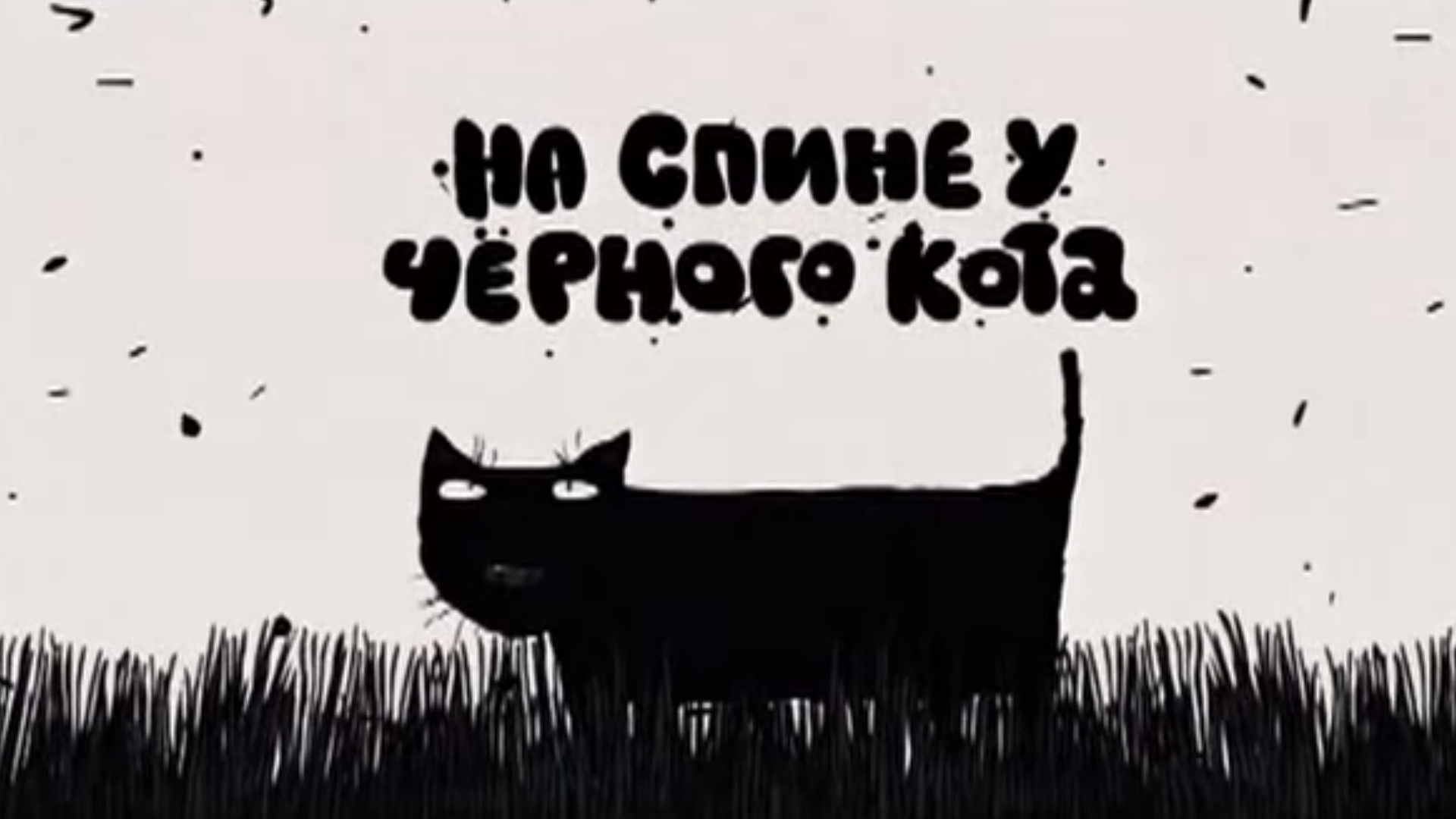 На спине у чёрного кота