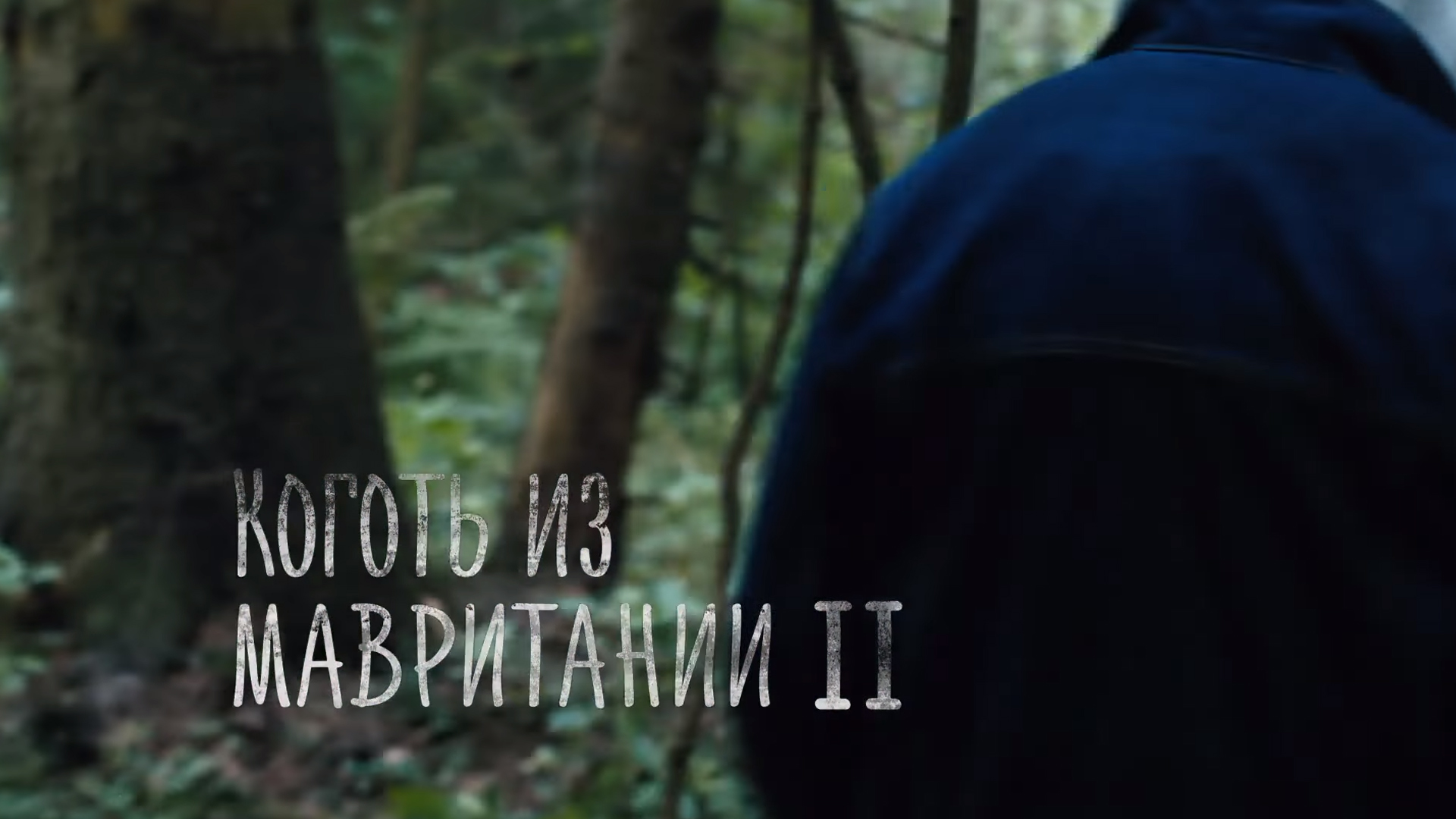 Коготь из Мавритании-2