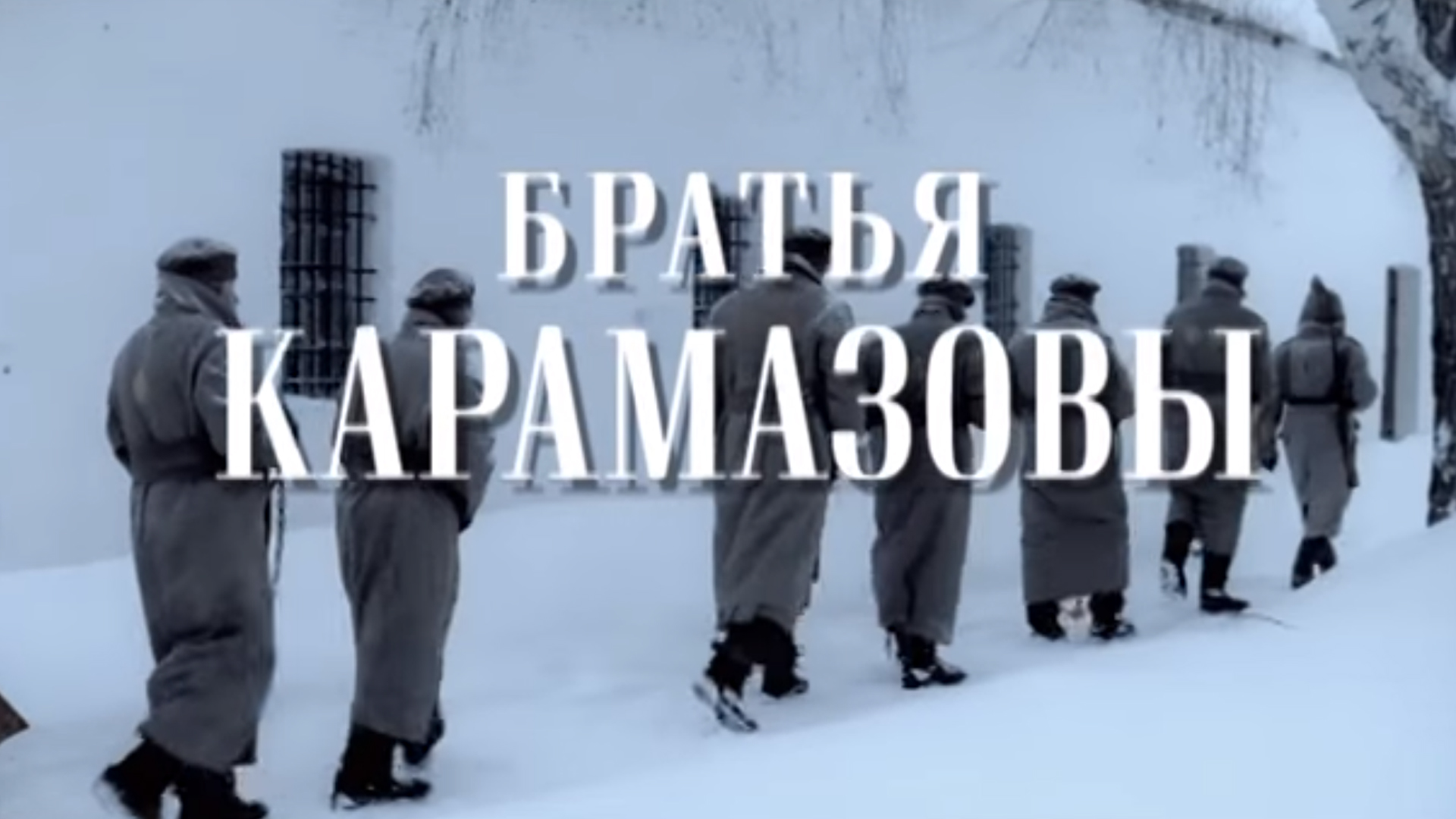 Братья Карамазовы