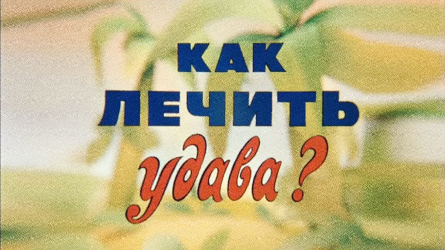 Как лечить удава?