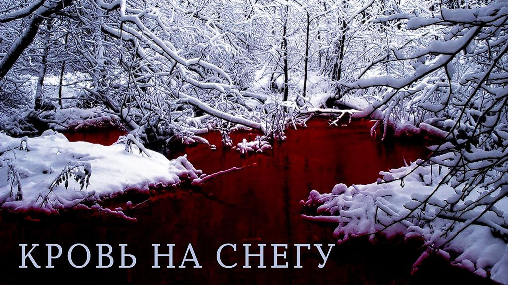 Кровь на снегу