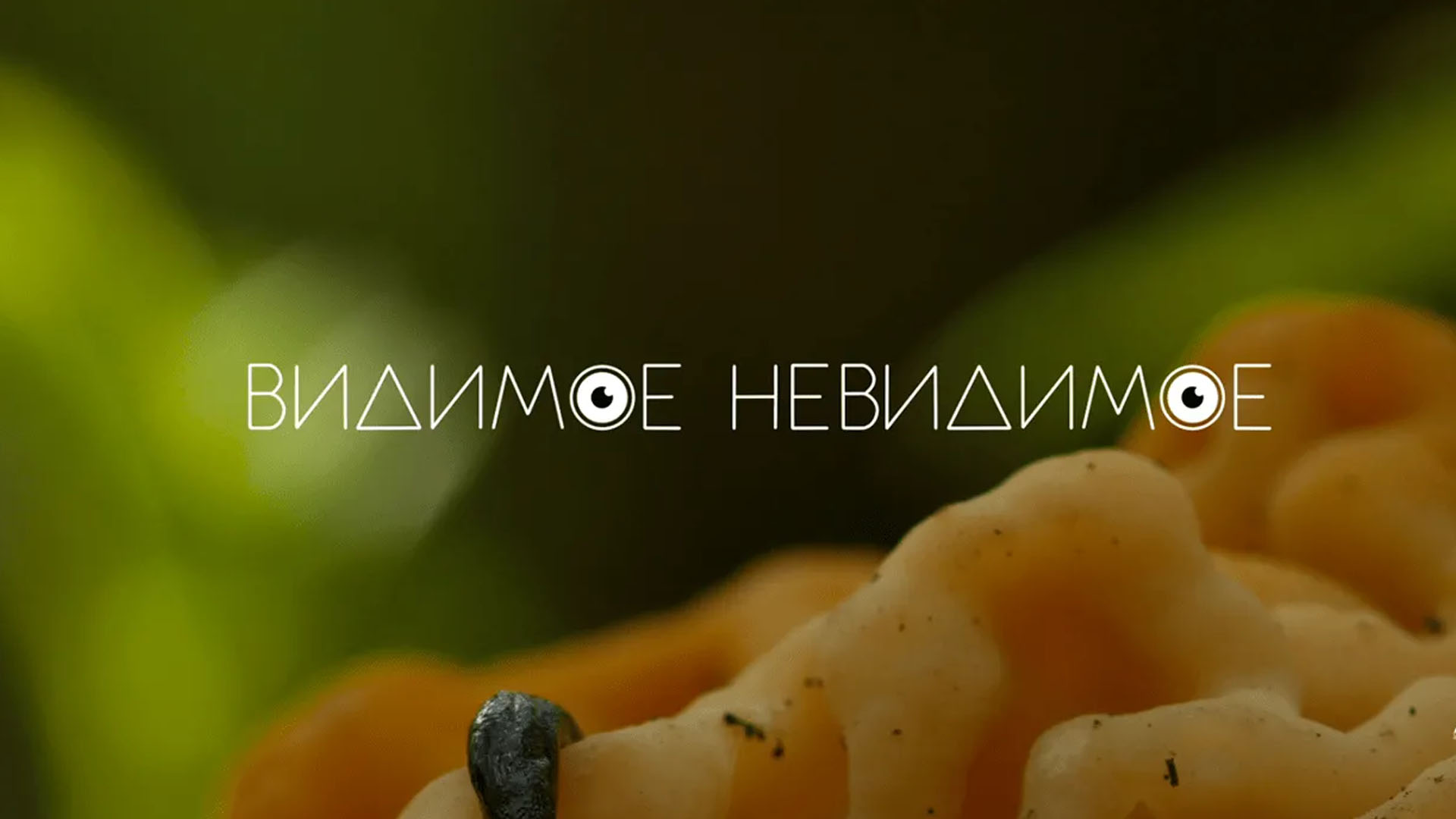 Видимое невидимое