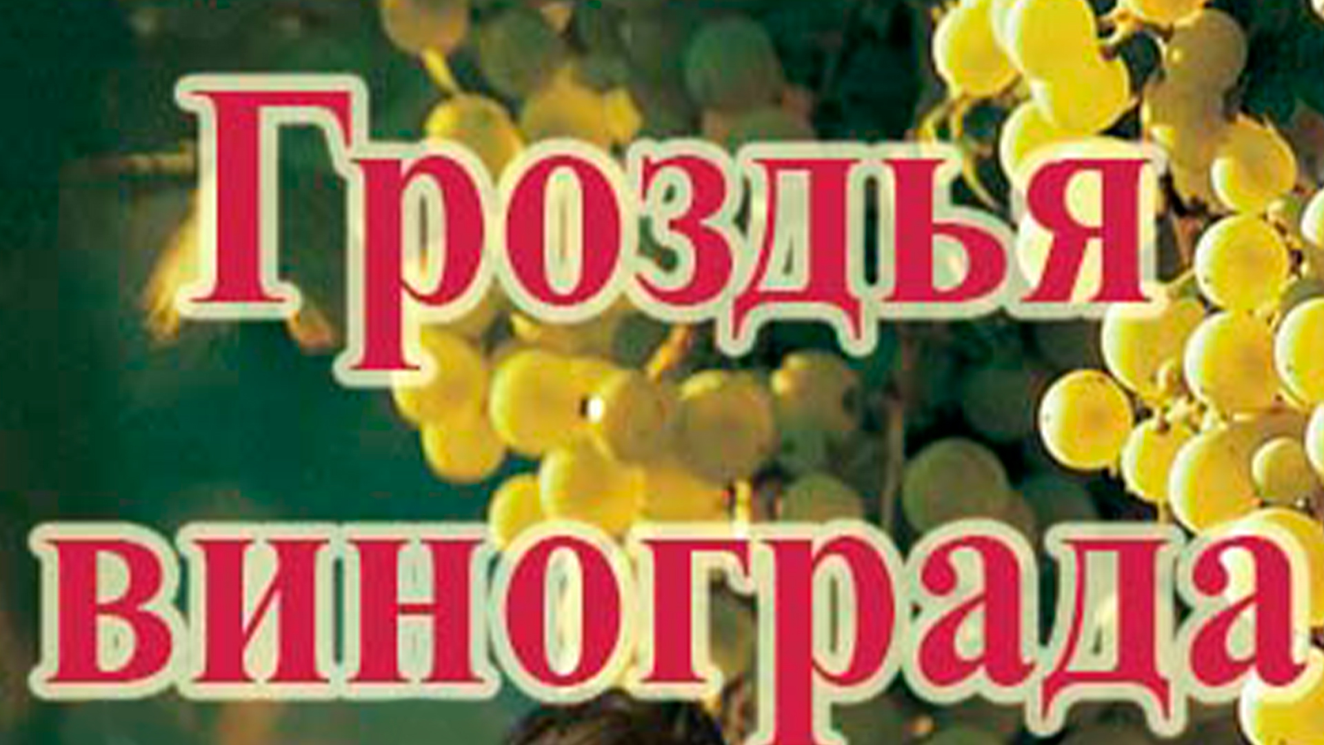 Гроздья винограда