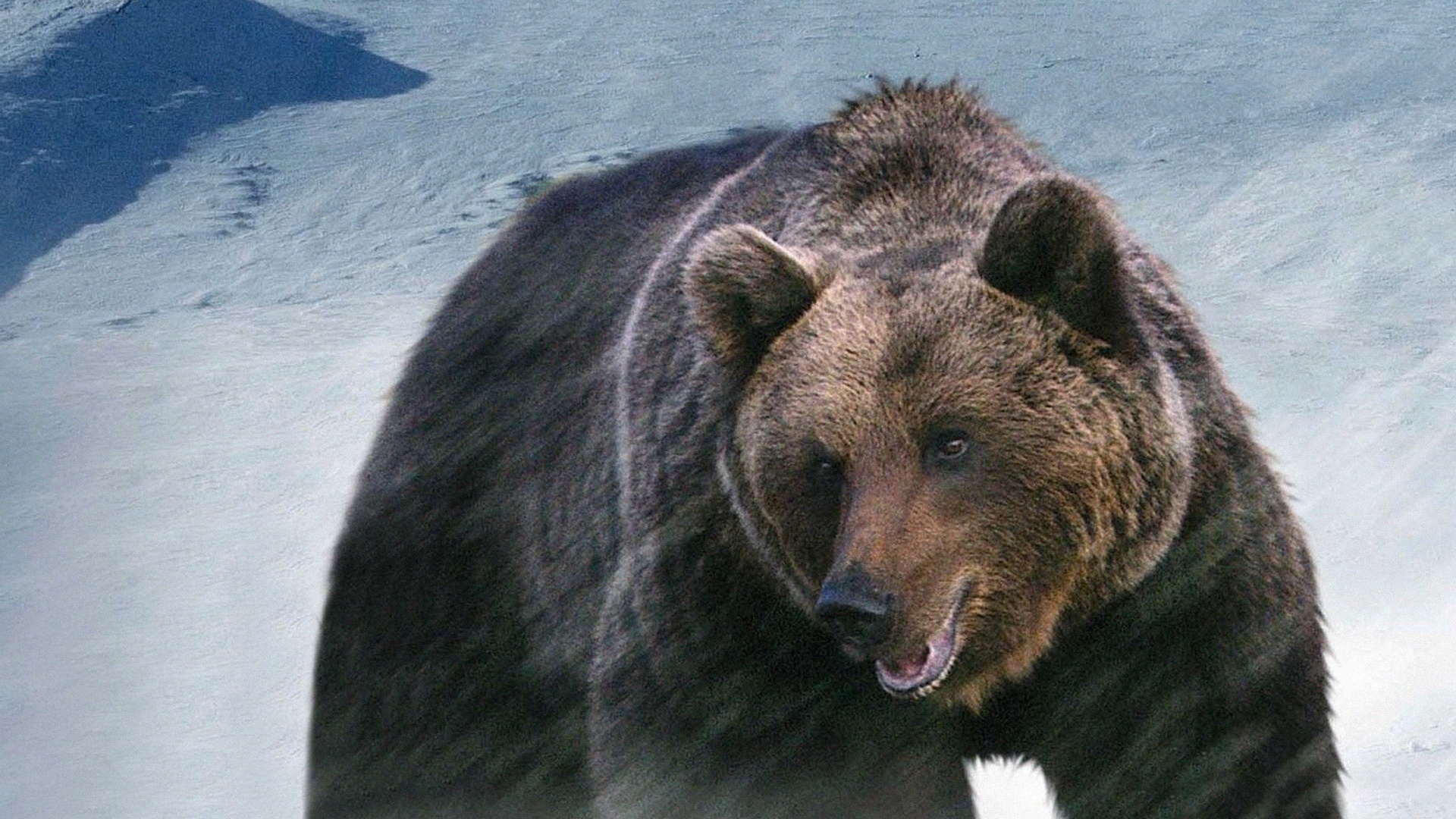 Россия от края до края