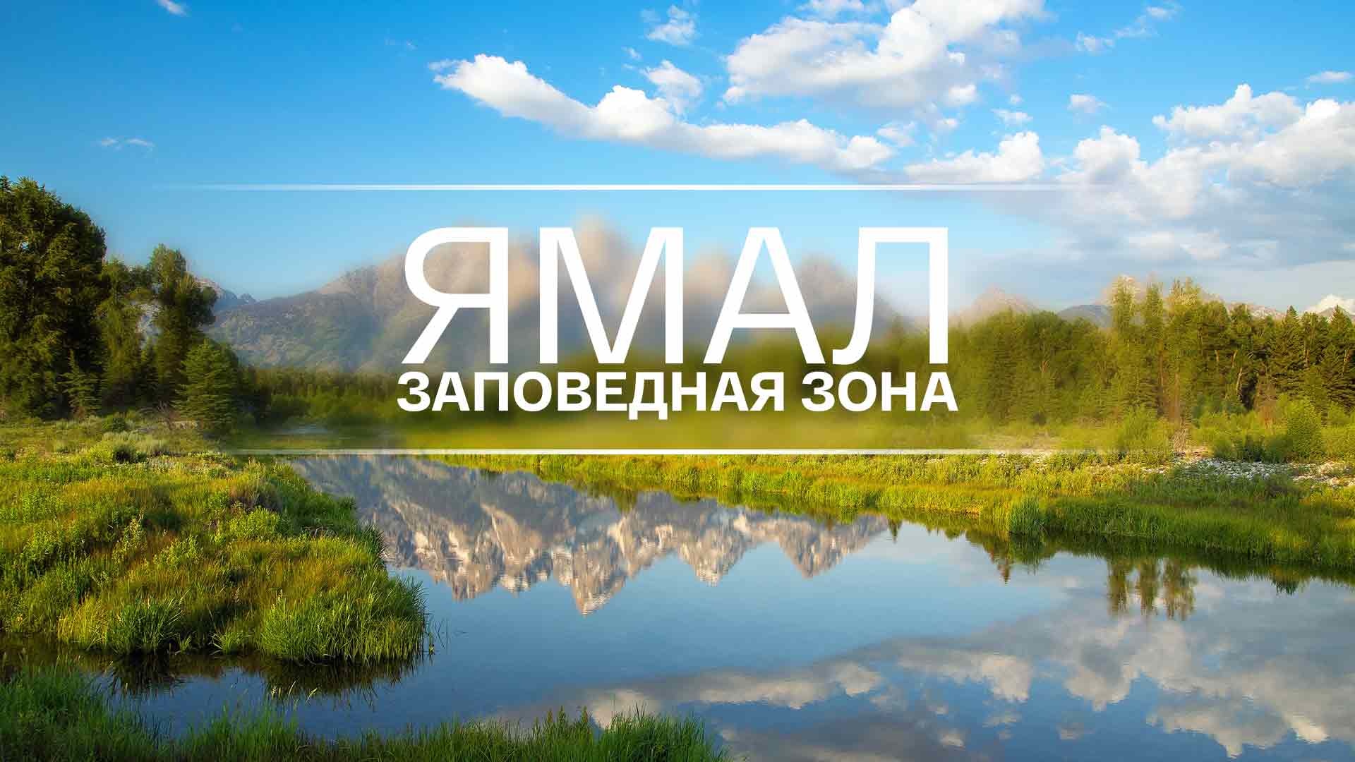 Ямал. Заповедная зона