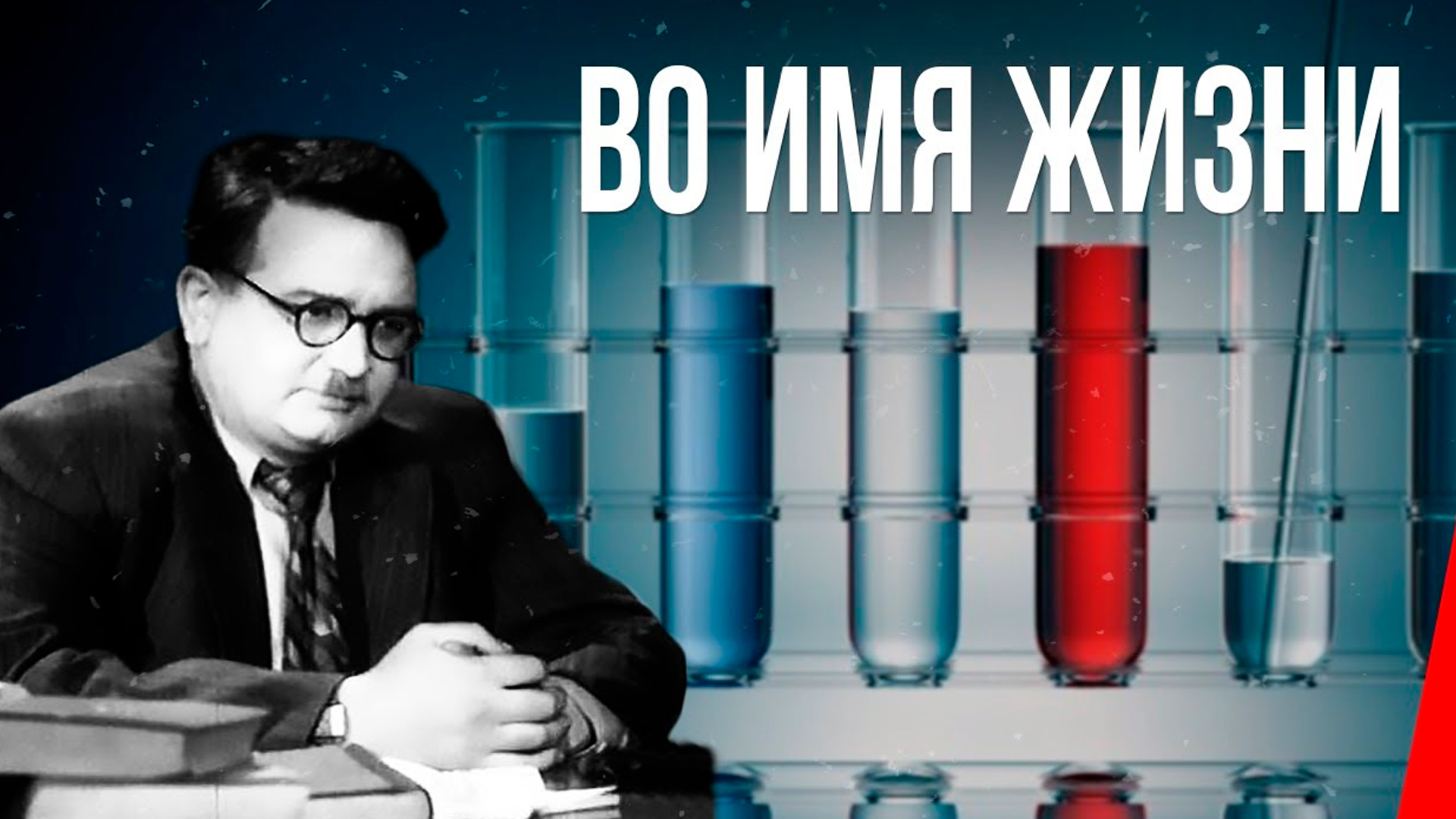 Во имя жизни