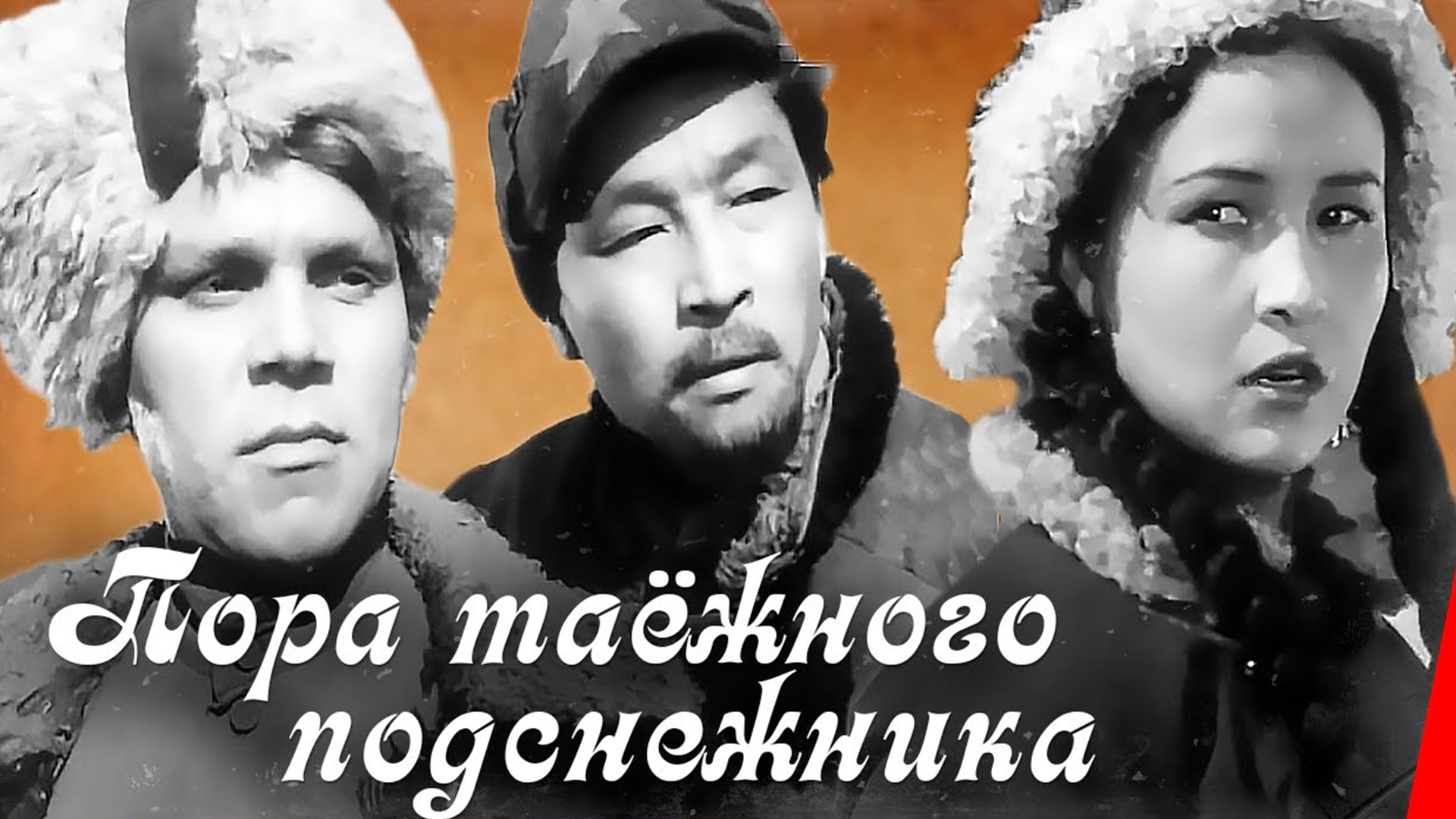 Пора таёжного подснежника