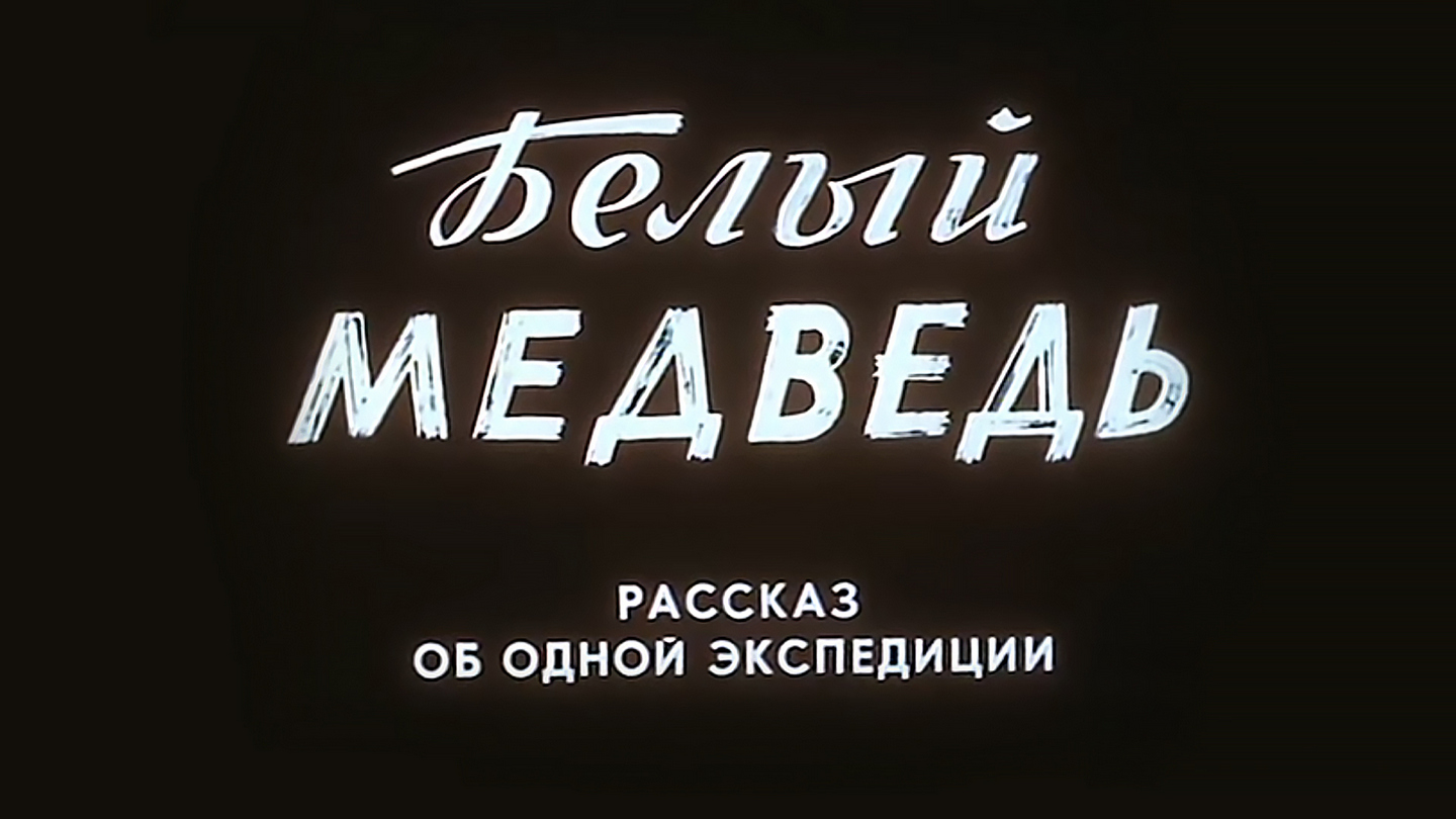 Белый медведь