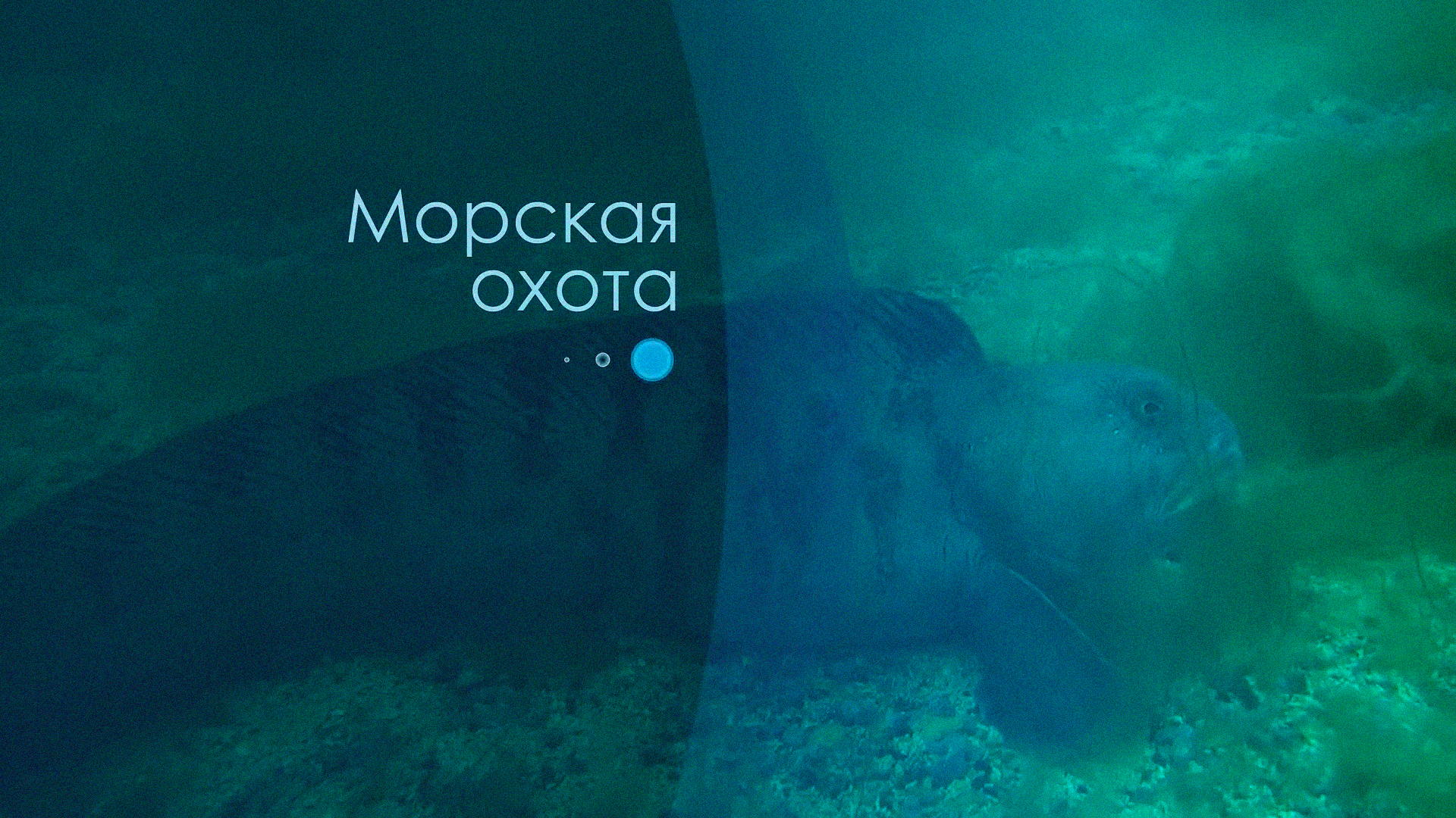 Морская охота