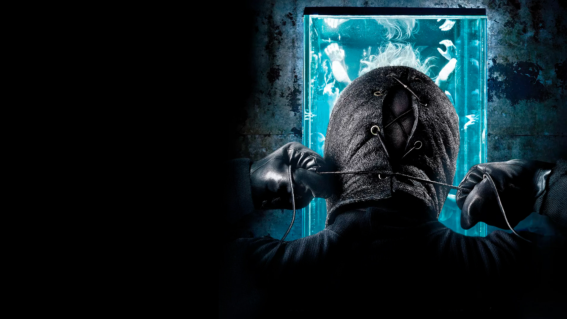 Коллекционер 2009 постер. Рендел арчер коллекционер. Коллекционер коллекционеру рознь. Коллекционер обложка книги. Коллекционер коллекционеру рознь.