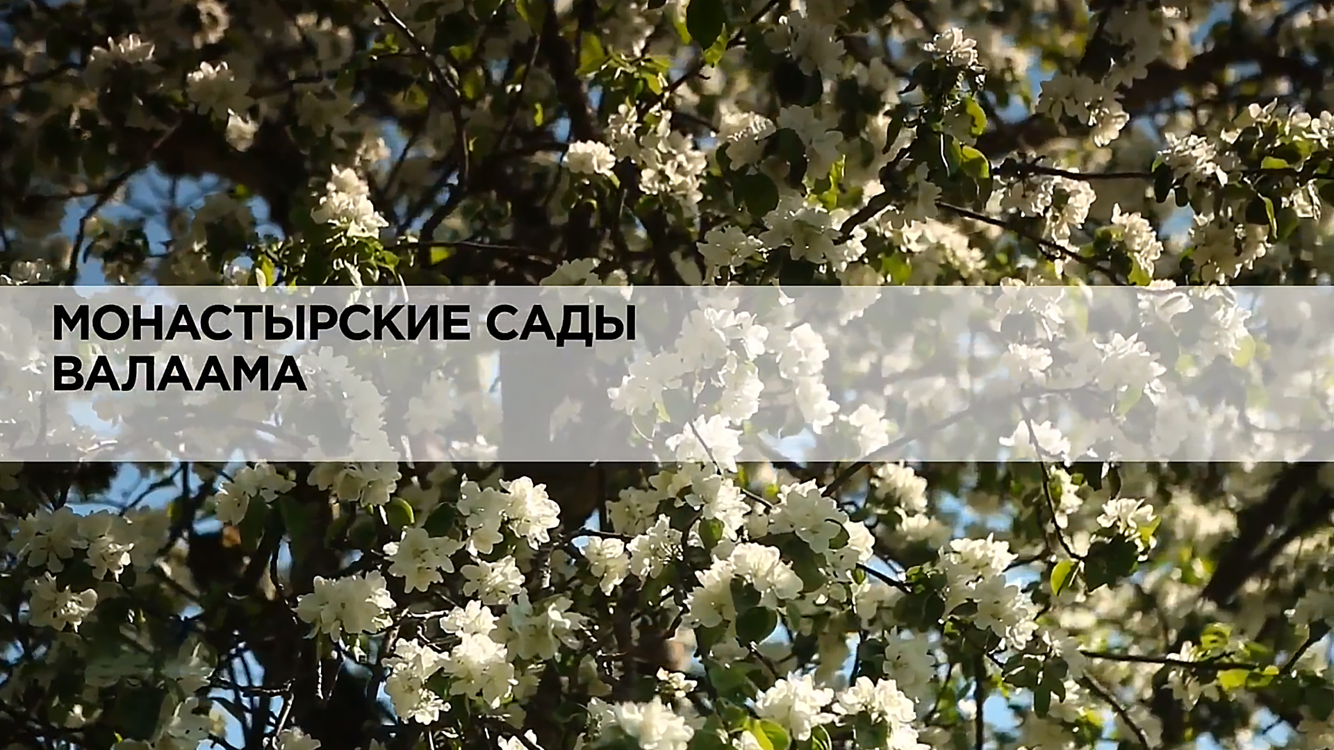 Монастырские сады Валаама