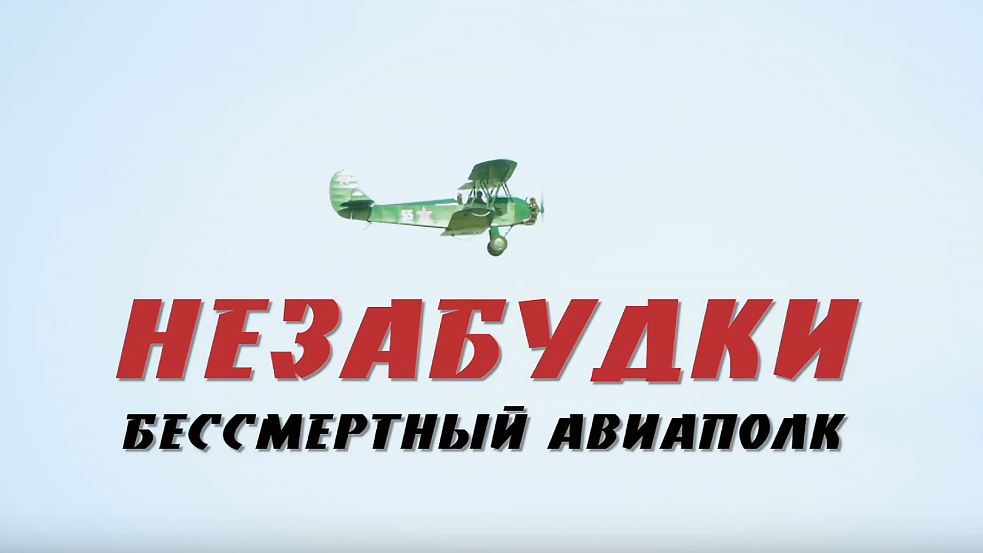 Незабудки. Бессмертный авиаполк