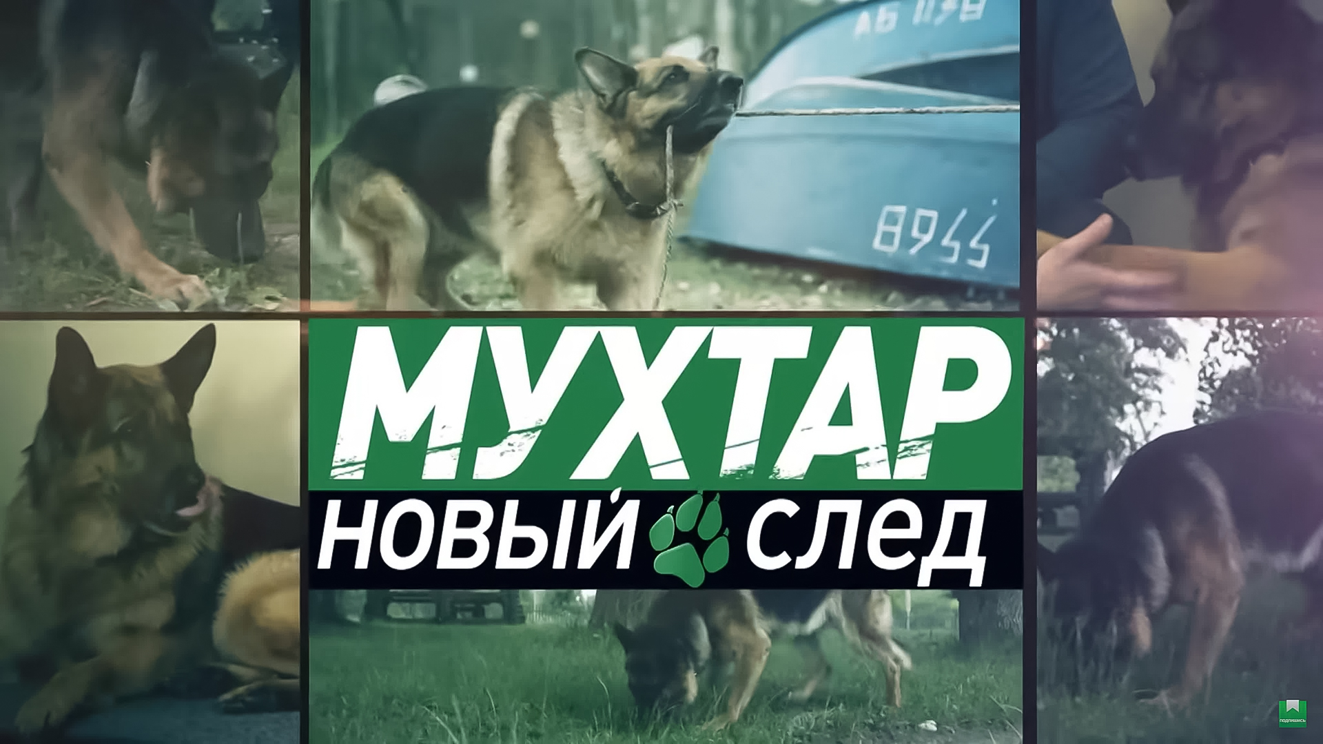 Мухтар. Новый след