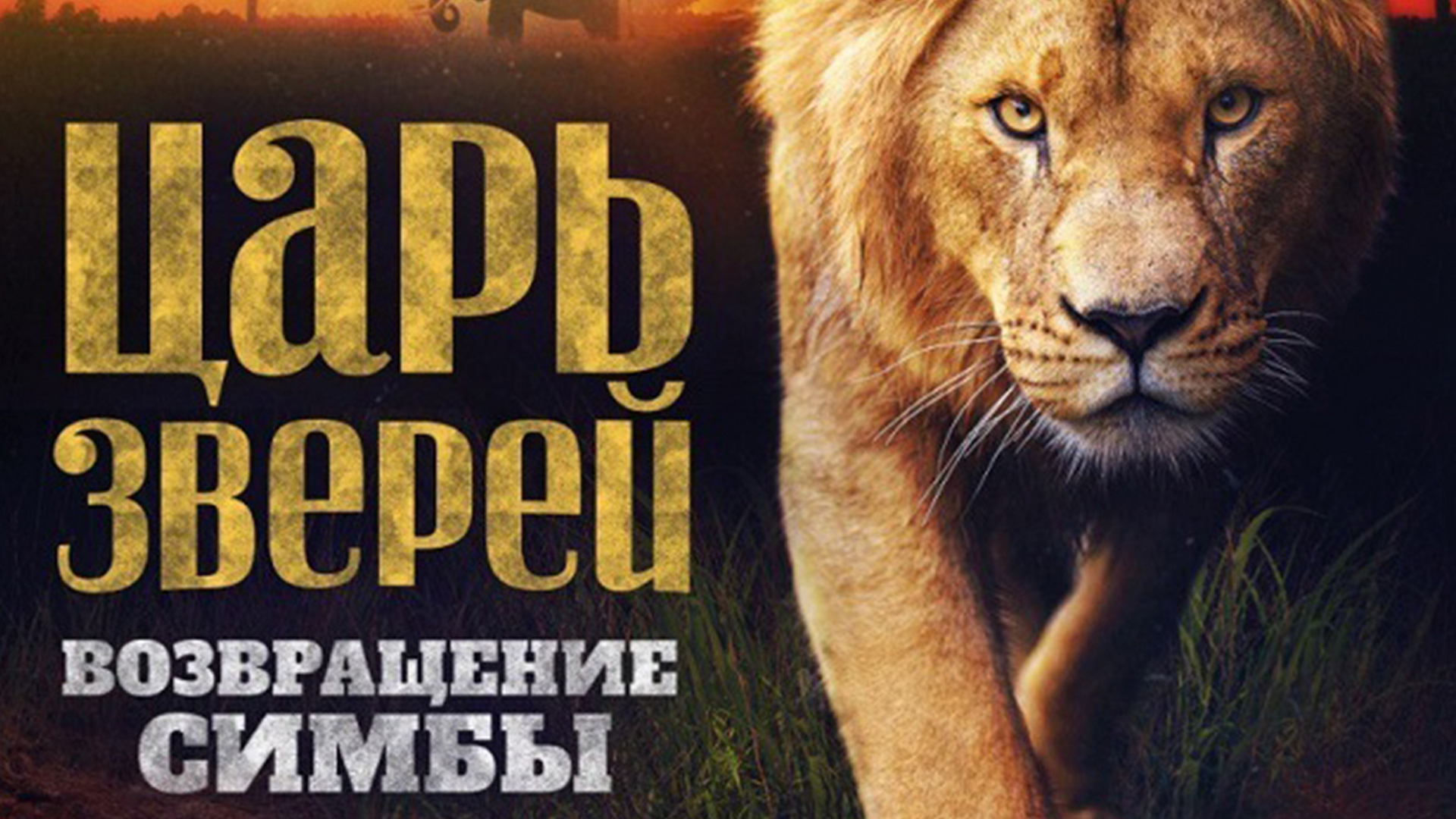 Царь зверей. Возвращение Симбы