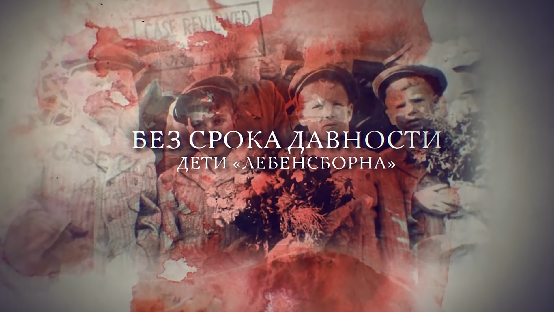 Без срока давности. Дети «Лебенсборна»