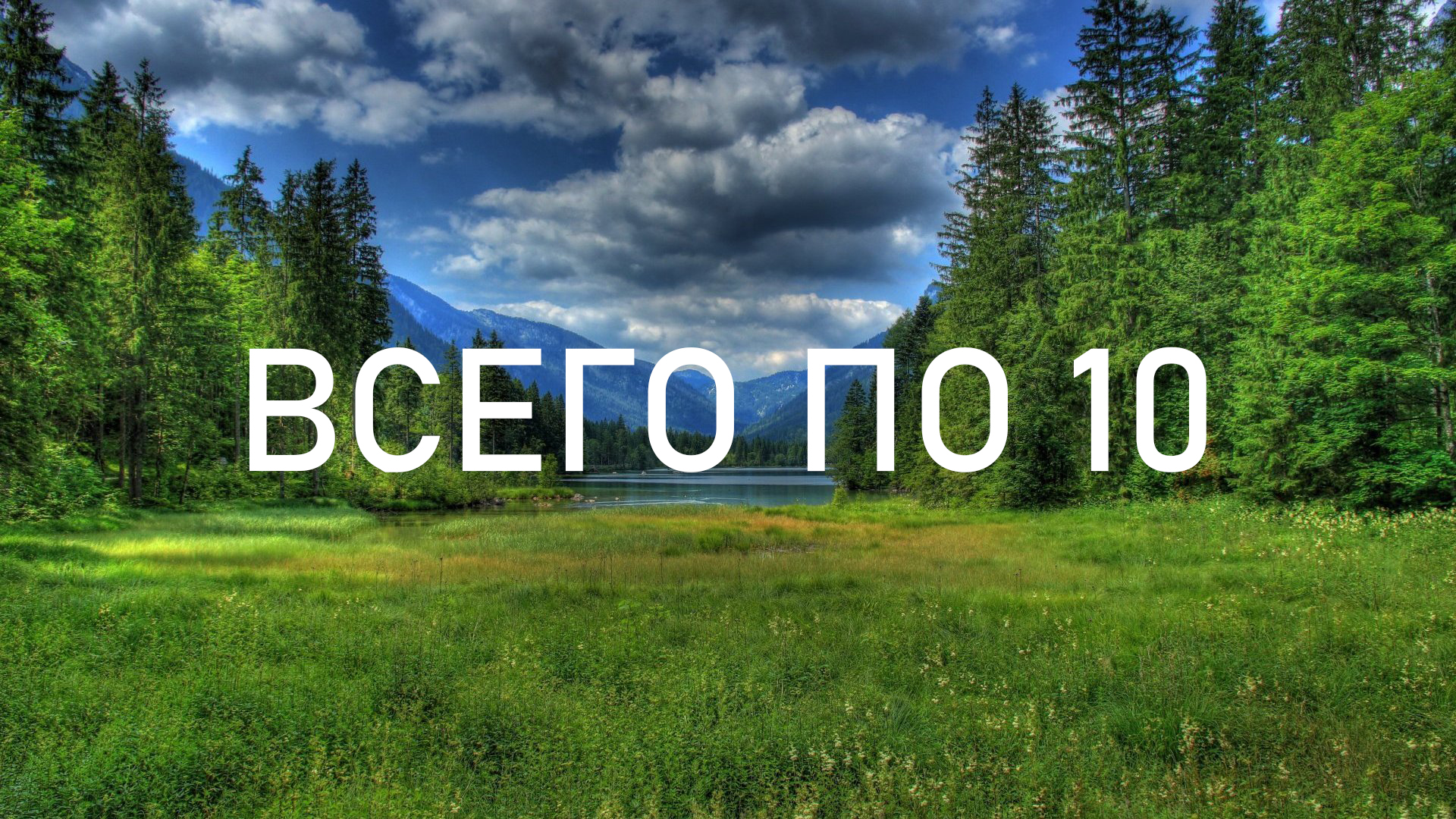 Всего по 10