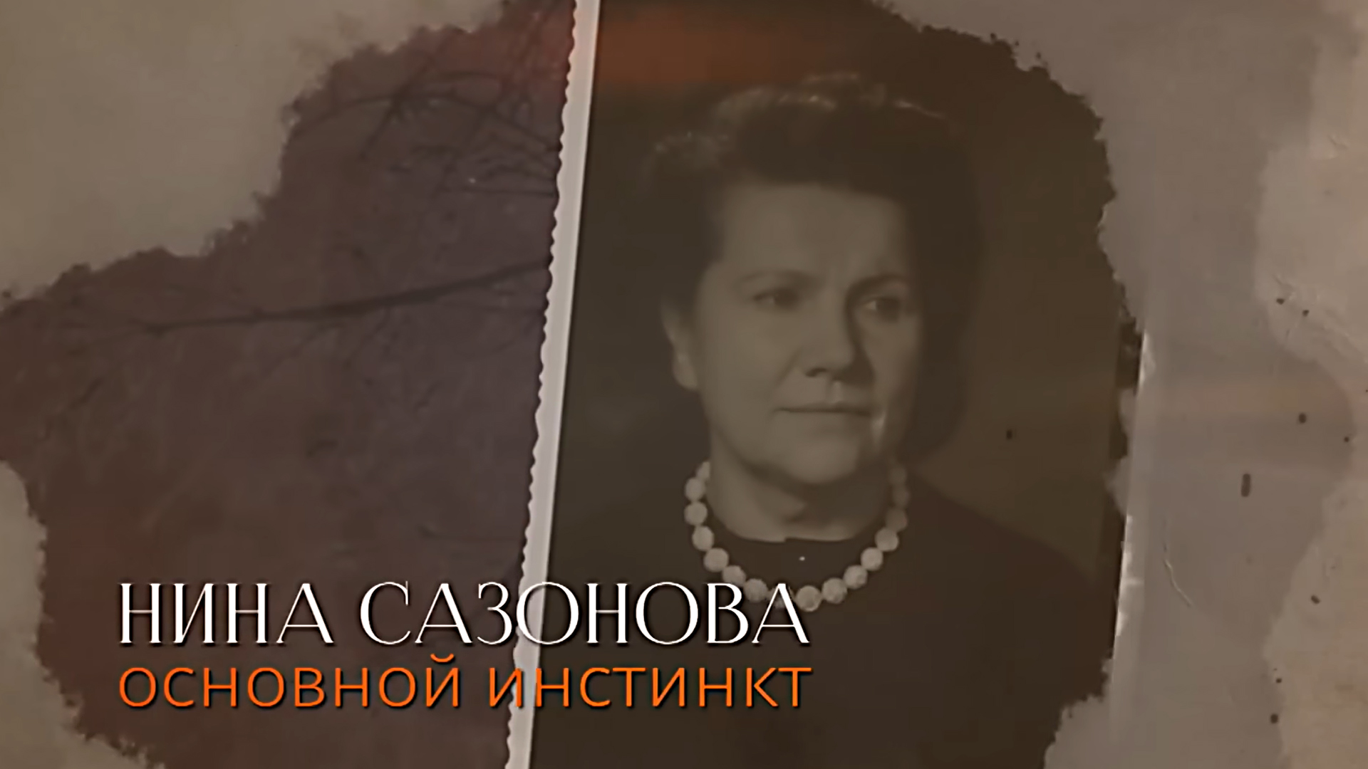 Нина Сазонова. Основной инстинкт