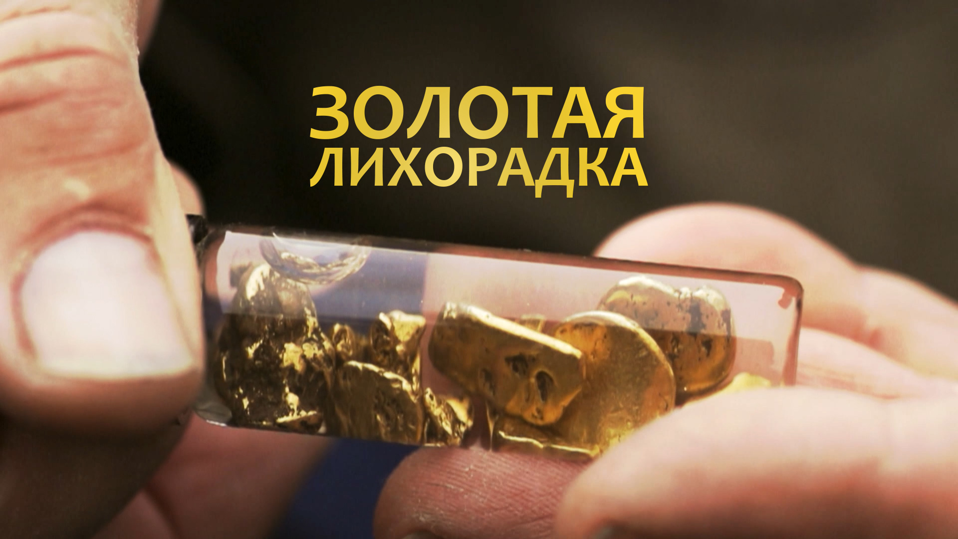 Золотая лихорадка