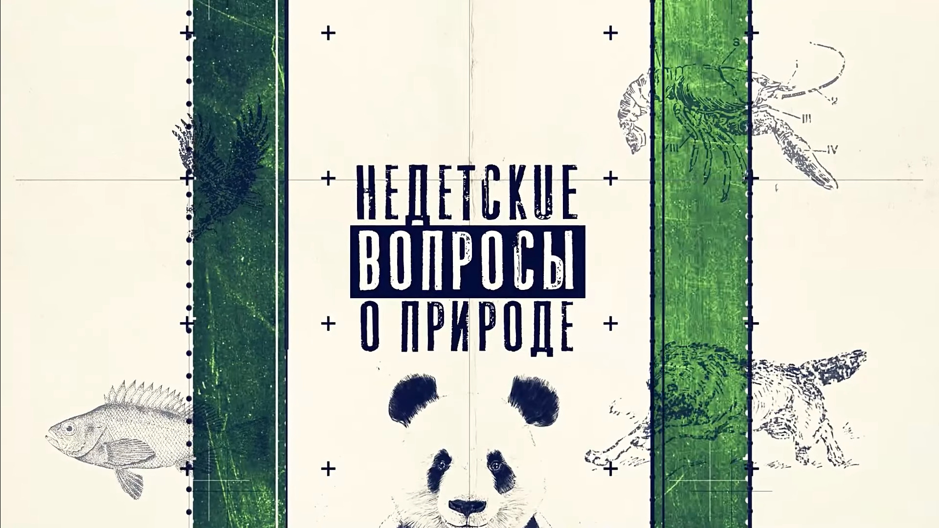 Недетские вопросы о природе