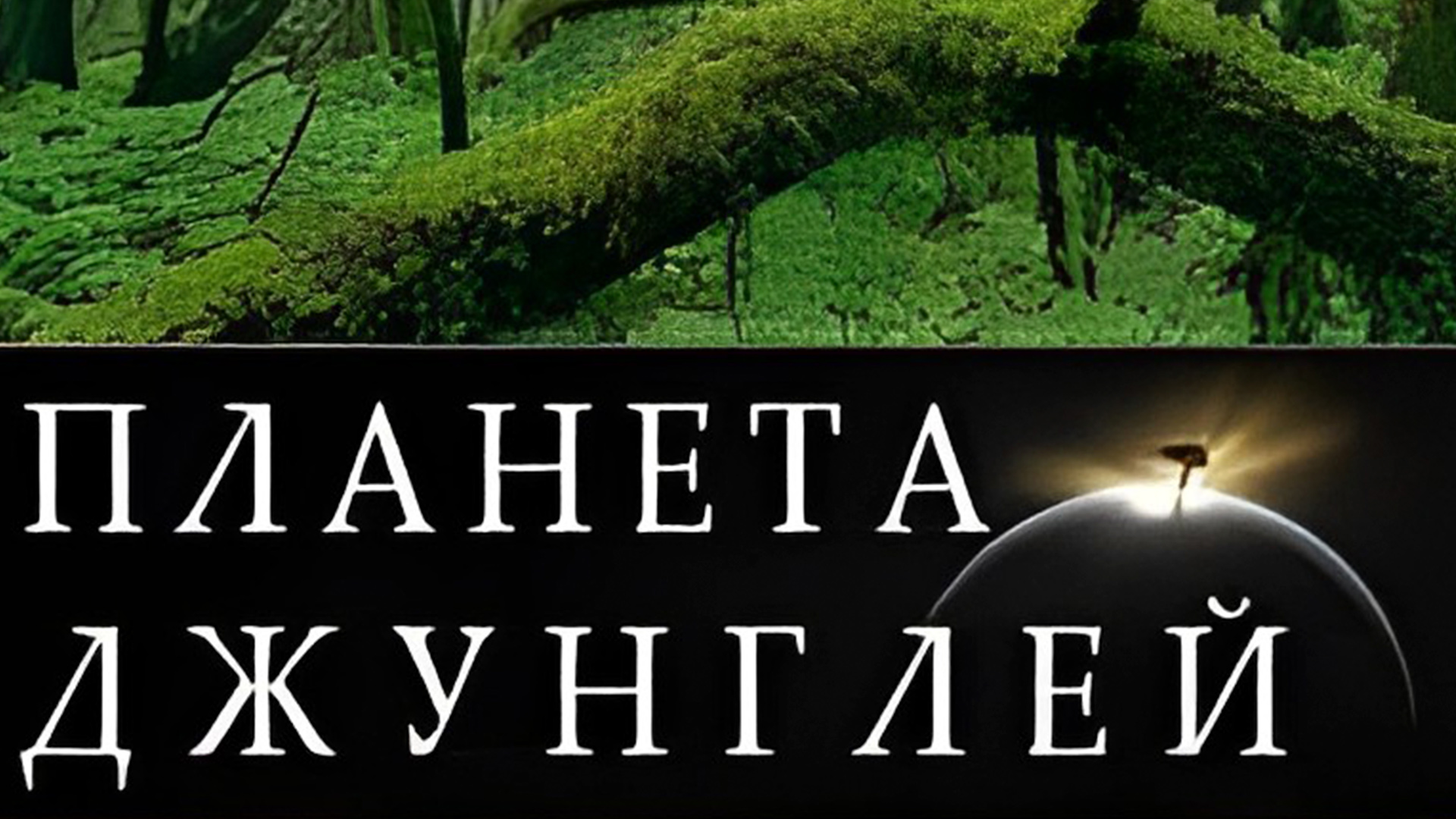 Планета джунглей передача обложка. Джангл. Планета джунглей. Планета джунглей все. Тропические леса far cry.