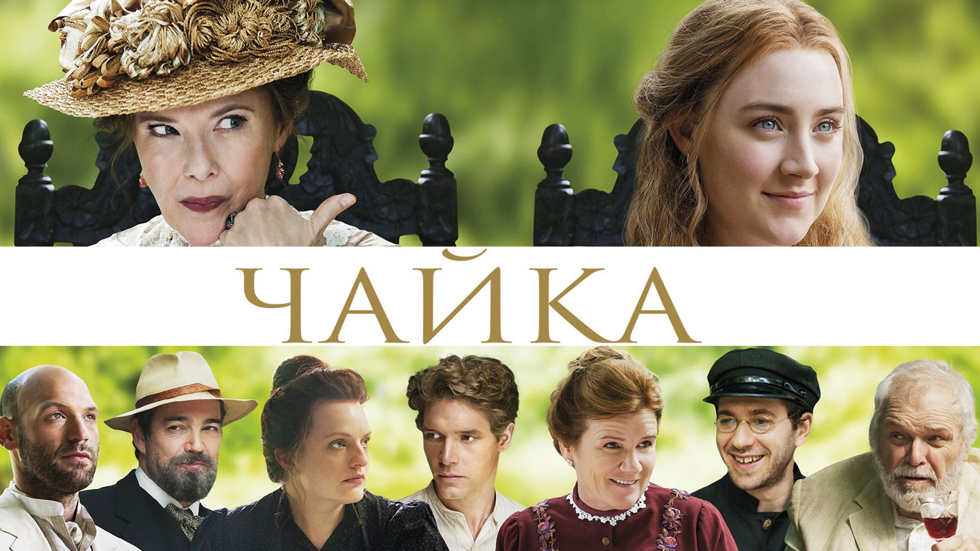 Чайка
