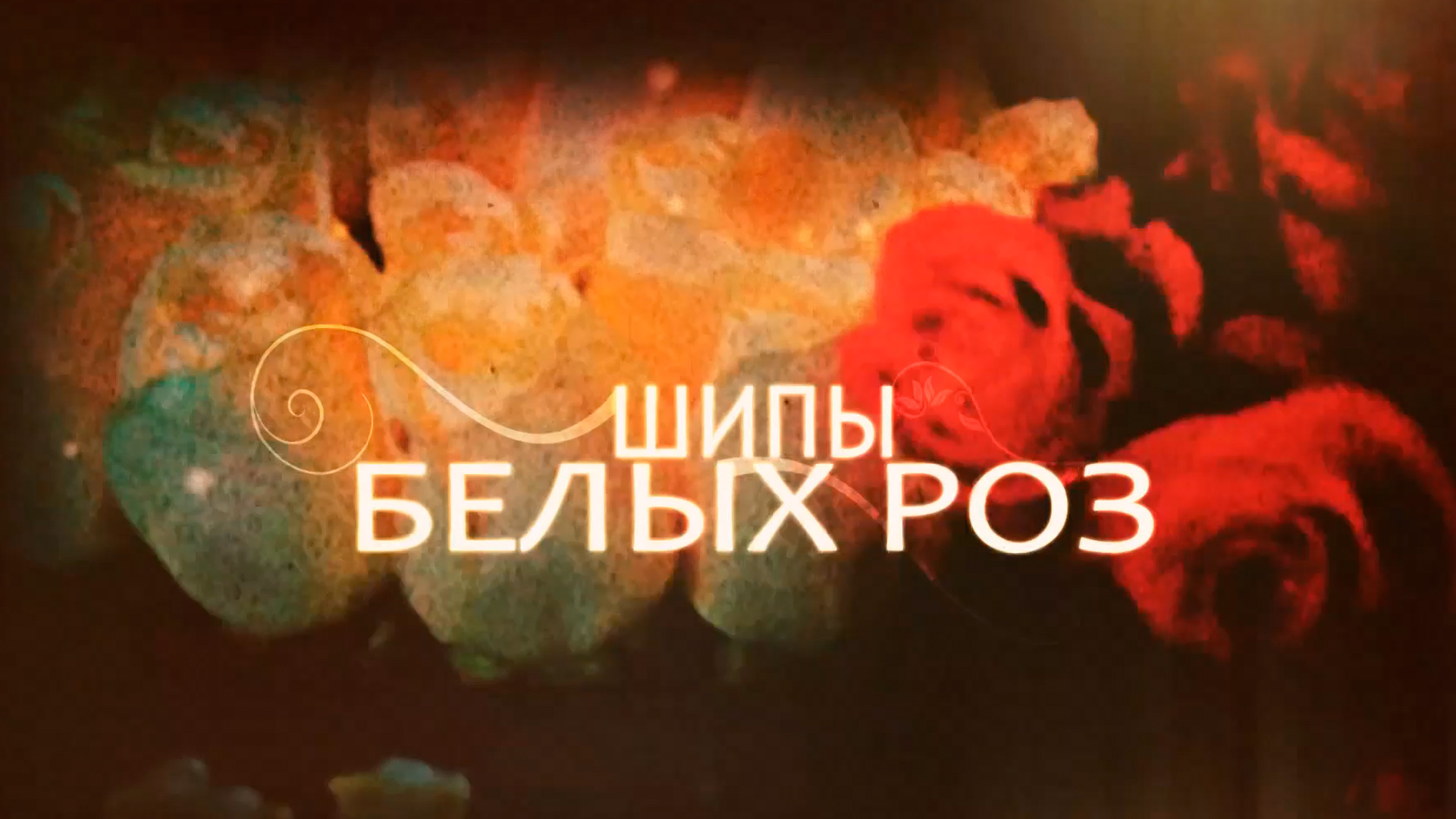Шипы белых роз