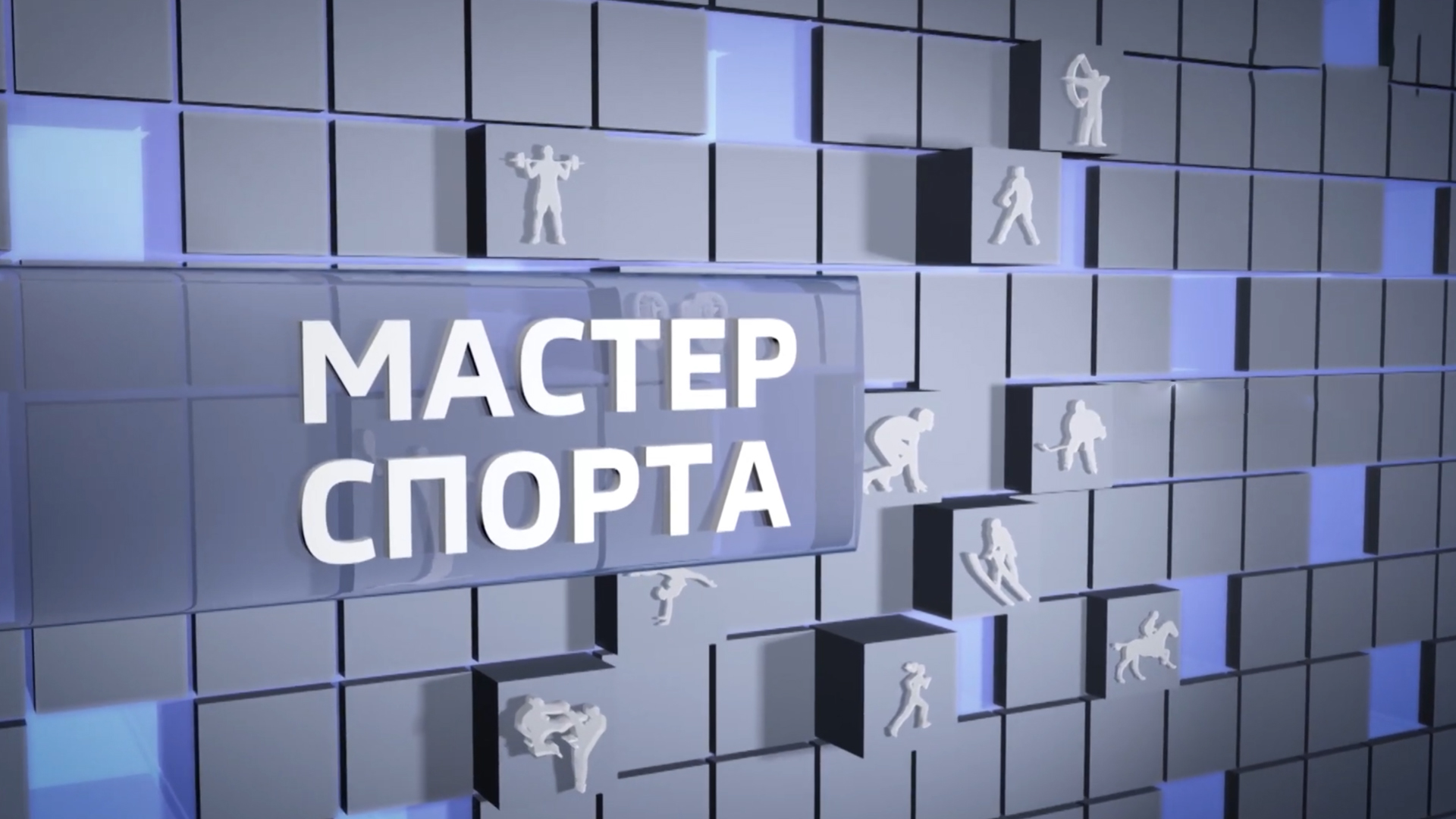 Мастер спорта