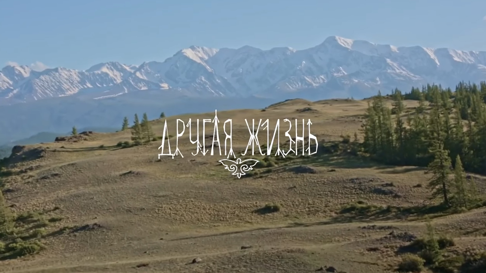 Документальный фильм «Другая жизнь»