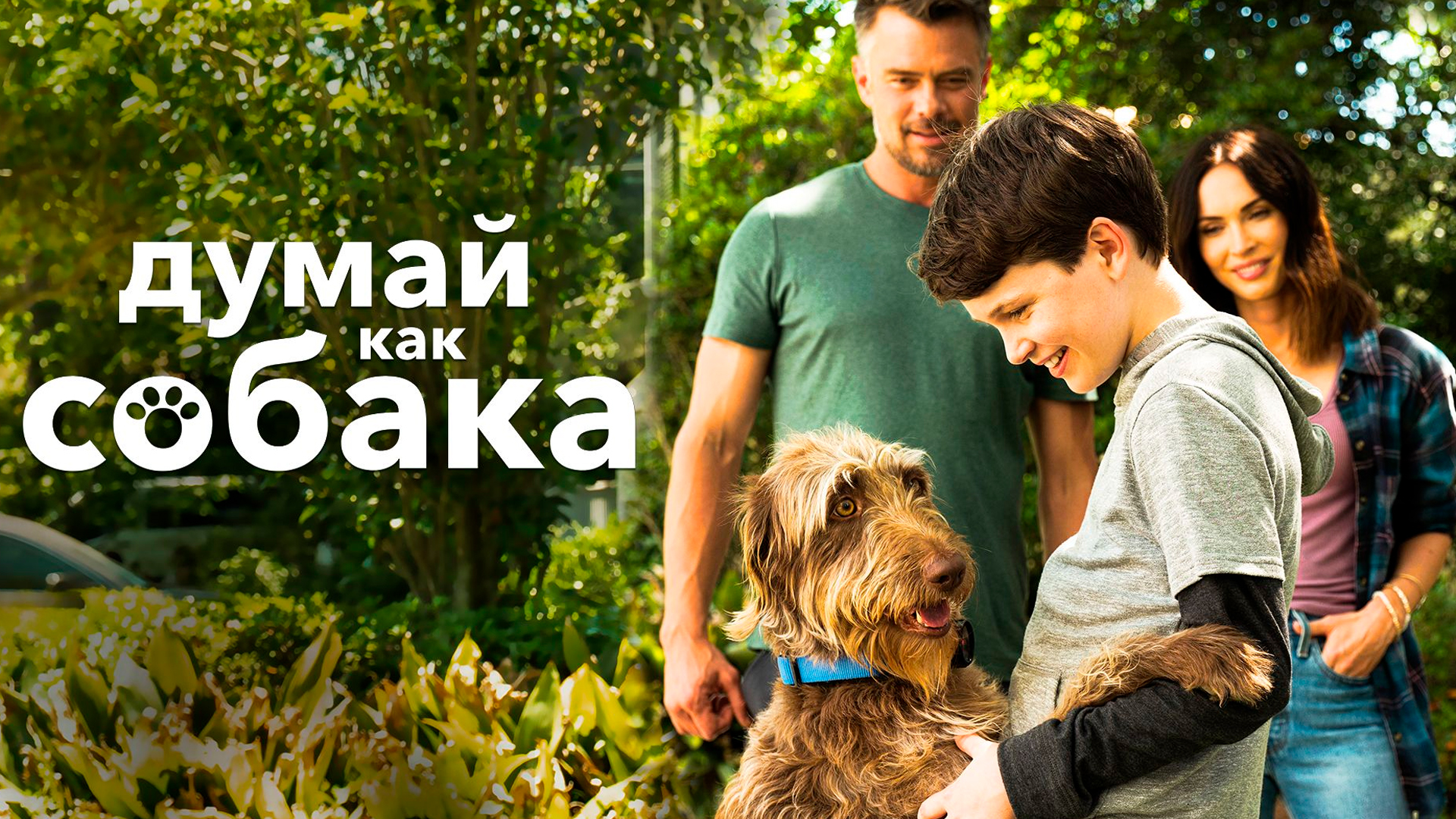 Думай как собака