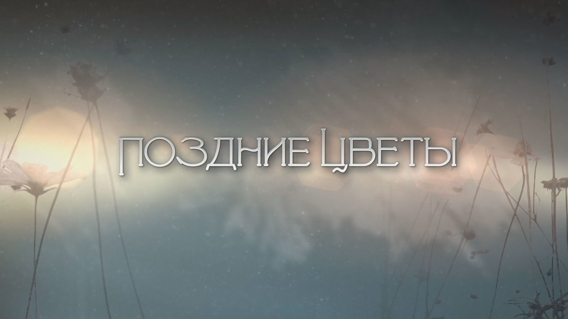 Поздние цветы