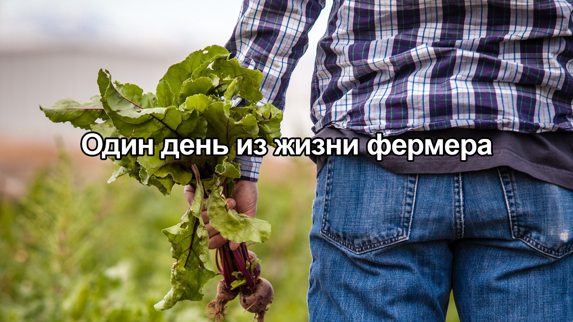 Один дeнь из жизни фeрмера