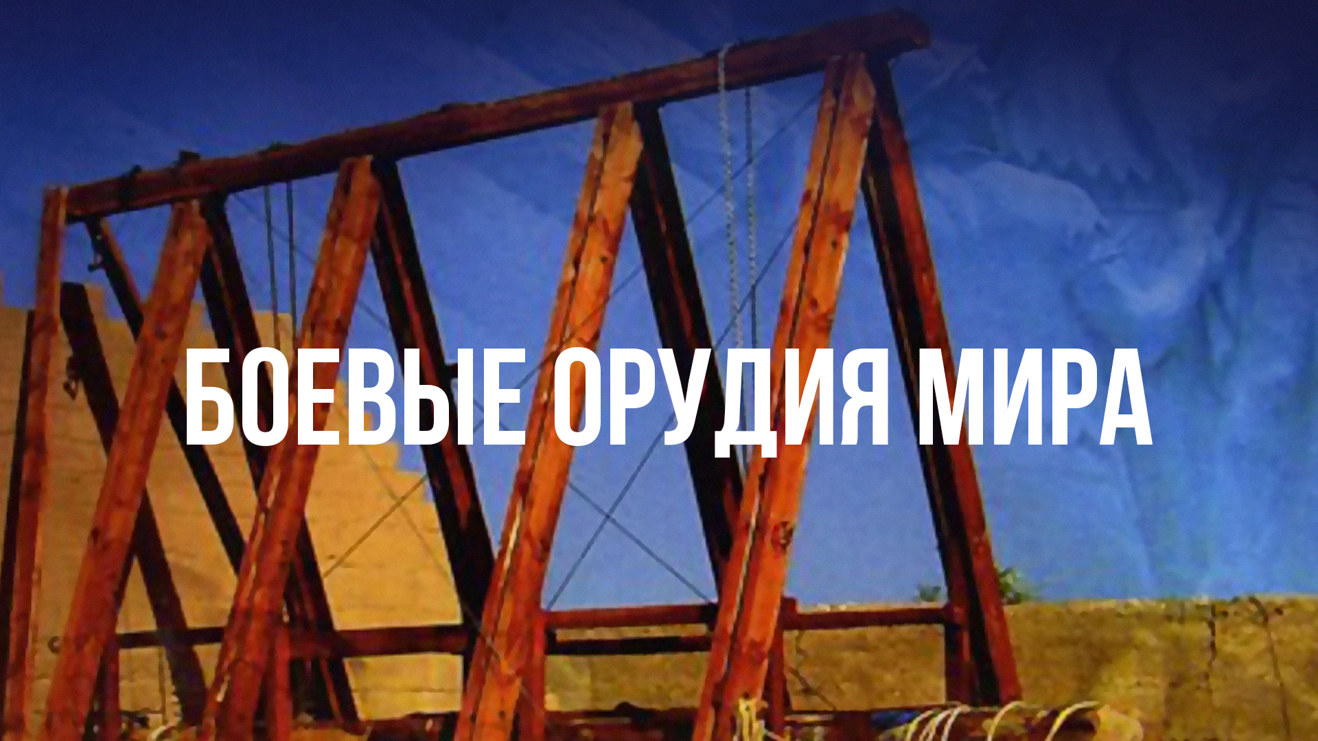 Боевые орудия мира