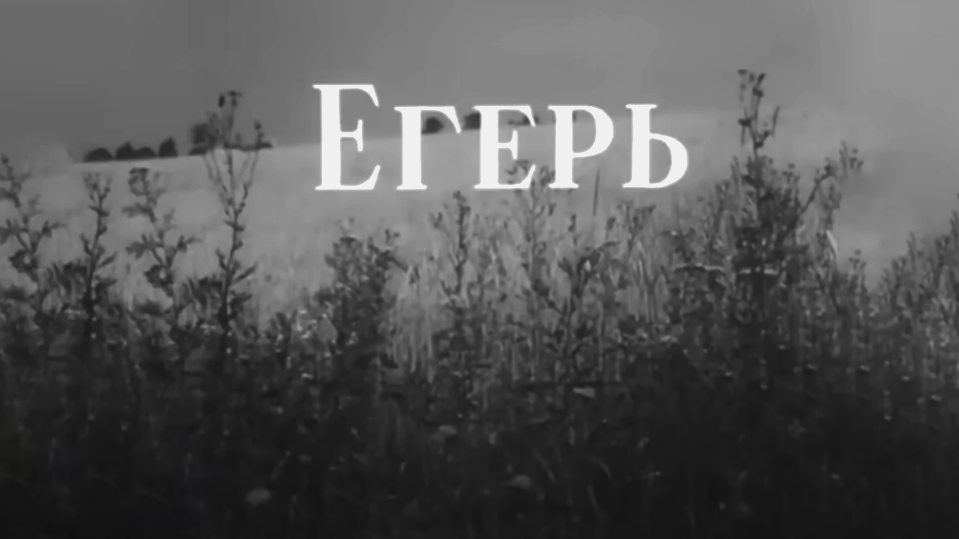 Егерь